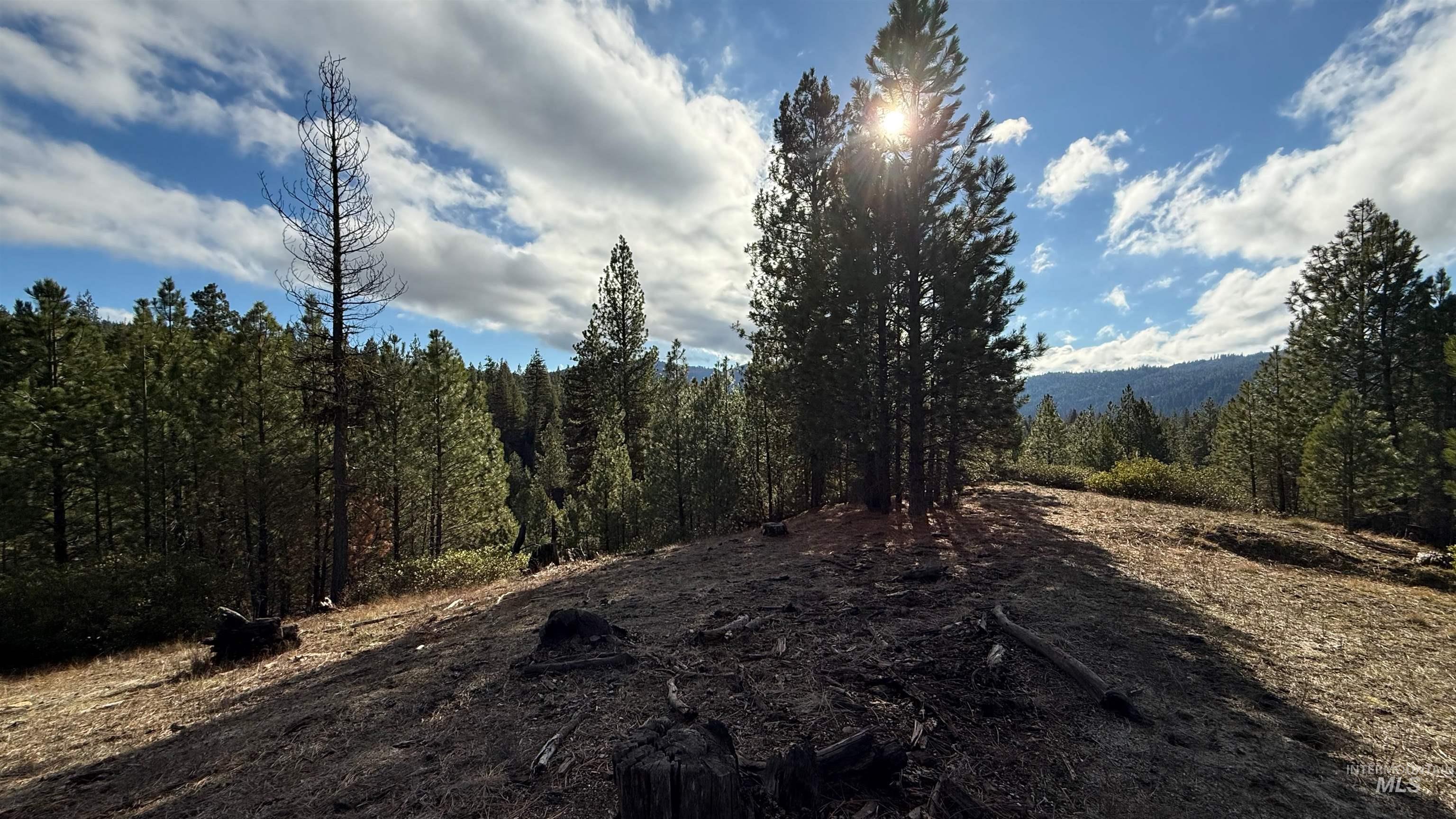 20.01 Ac Tbd Smith Ferry Dr Property Photo 3