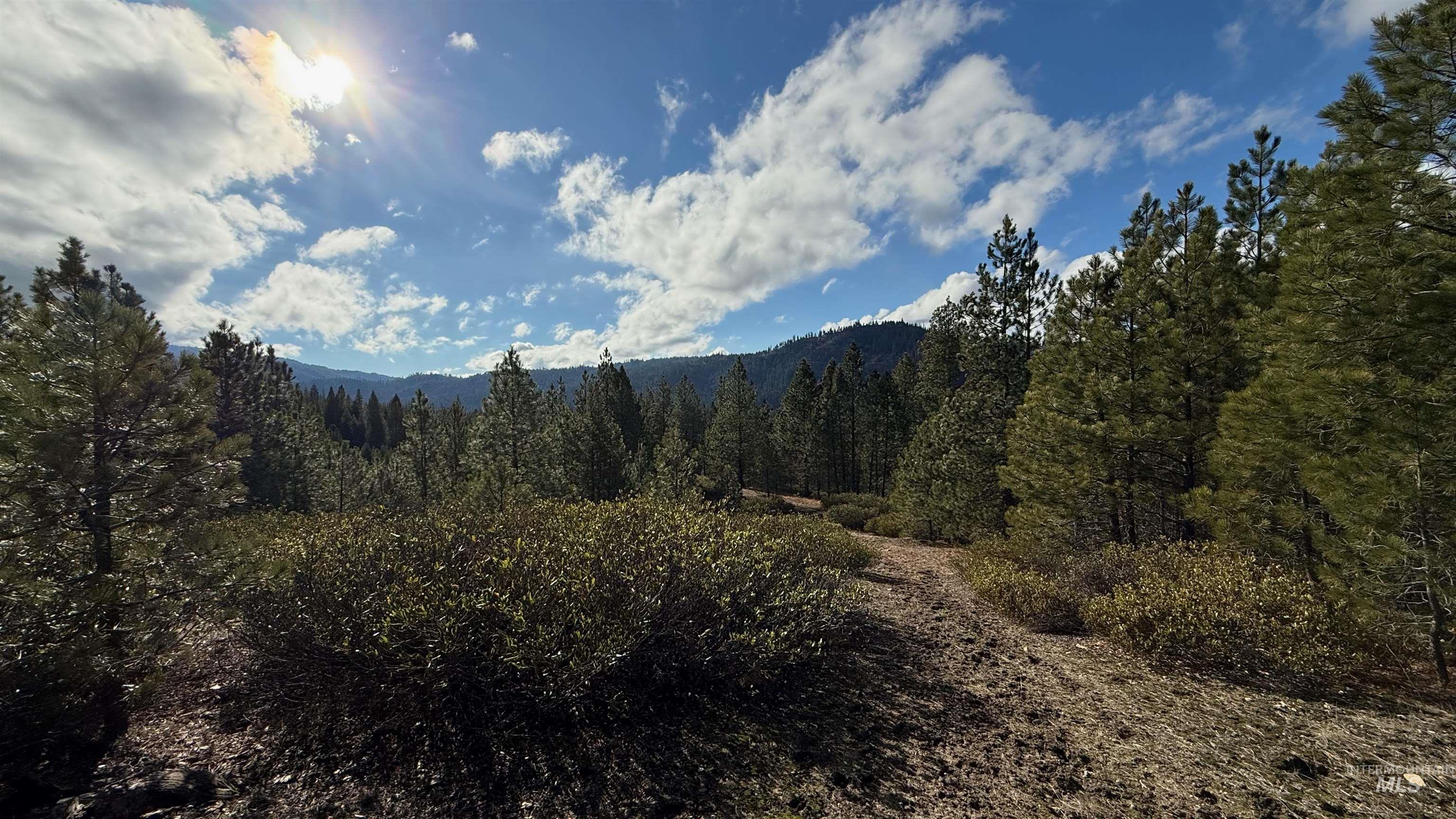 20.01 Ac Tbd Smith Ferry Dr Property Photo 4