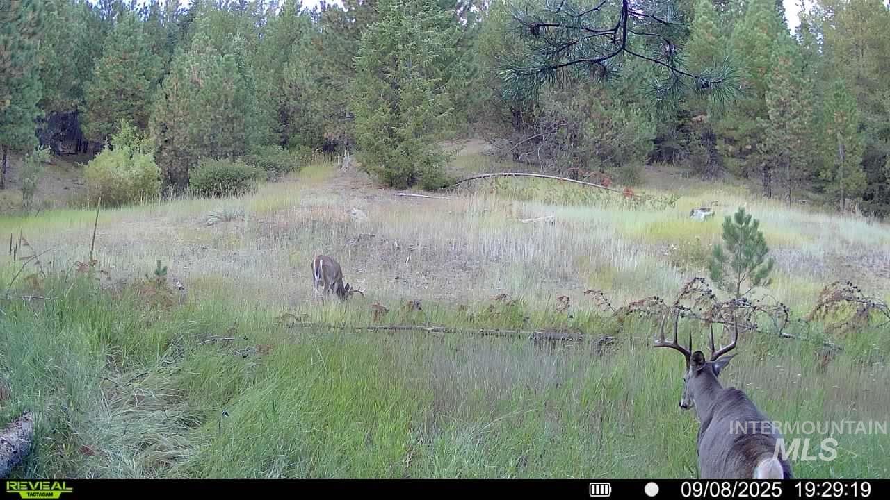 20.01 Ac Tbd Smith Ferry Dr Property Photo 5