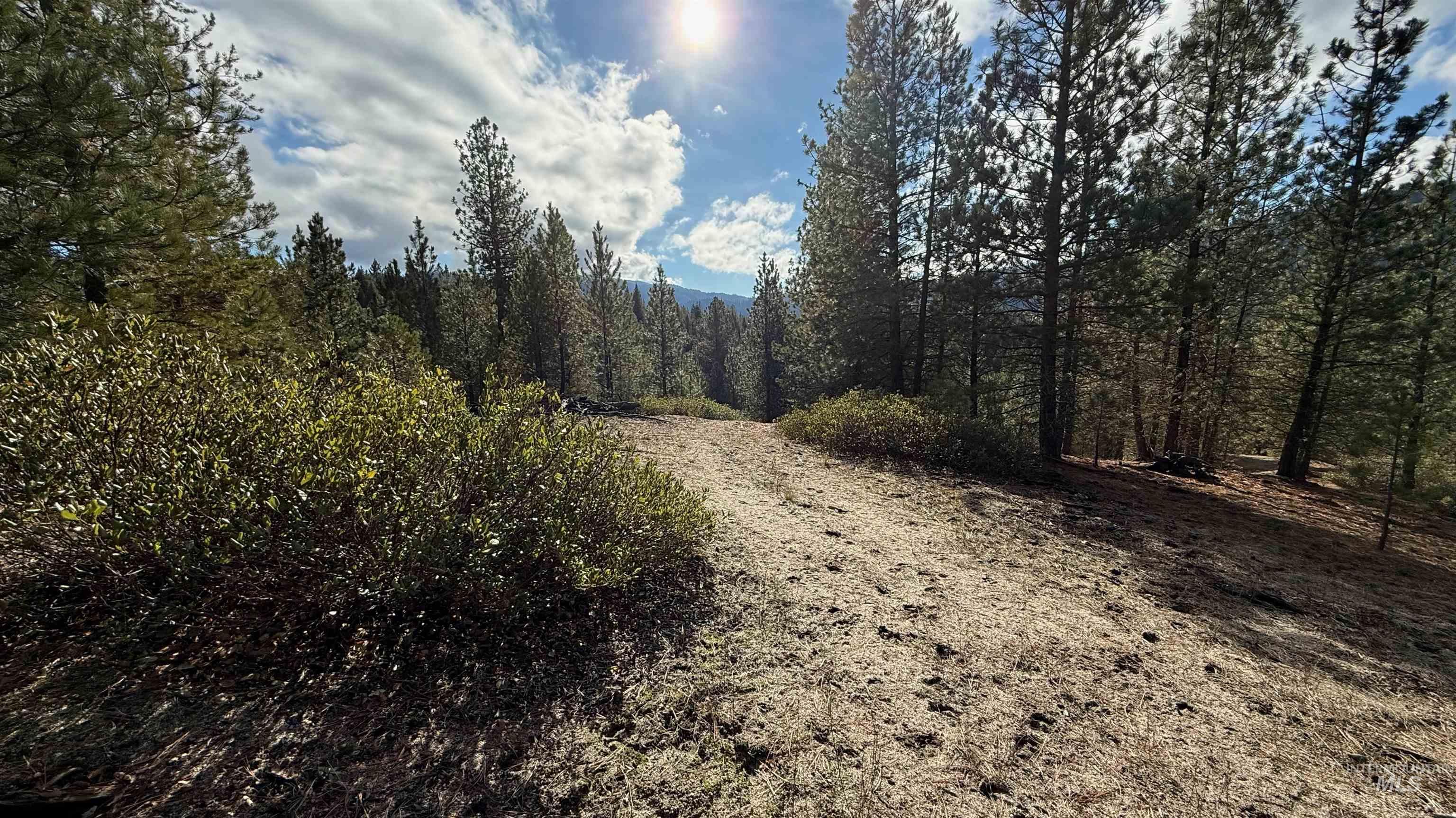 20.01 Ac Tbd Smith Ferry Dr Property Photo 6