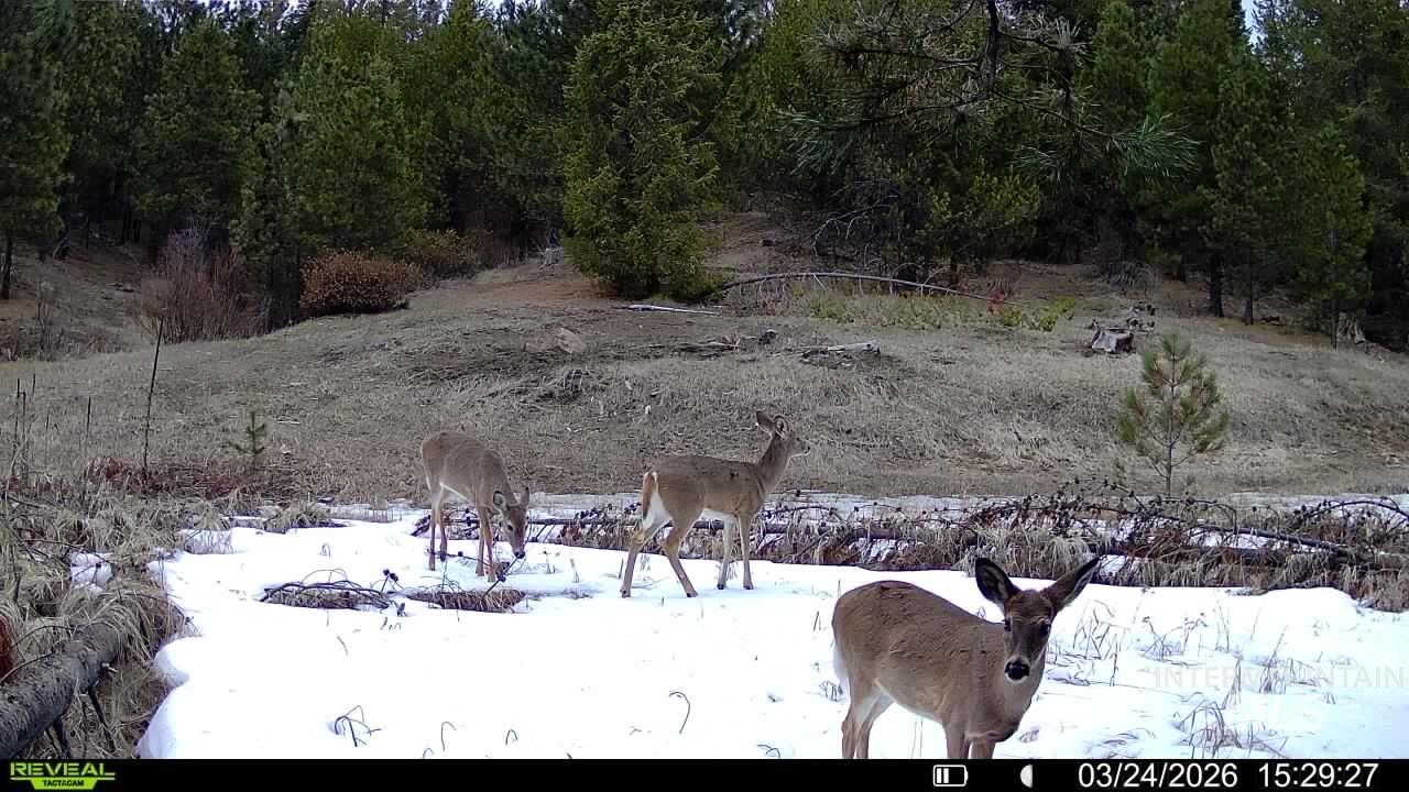 20.01 Ac Tbd Smith Ferry Dr Property Photo 8