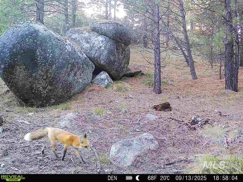 20.01 Ac Tbd Smith Ferry Dr Property Photo 10