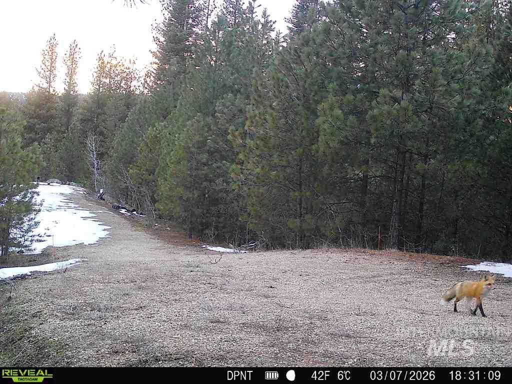 20.01 Ac Tbd Smith Ferry Dr Property Photo 11