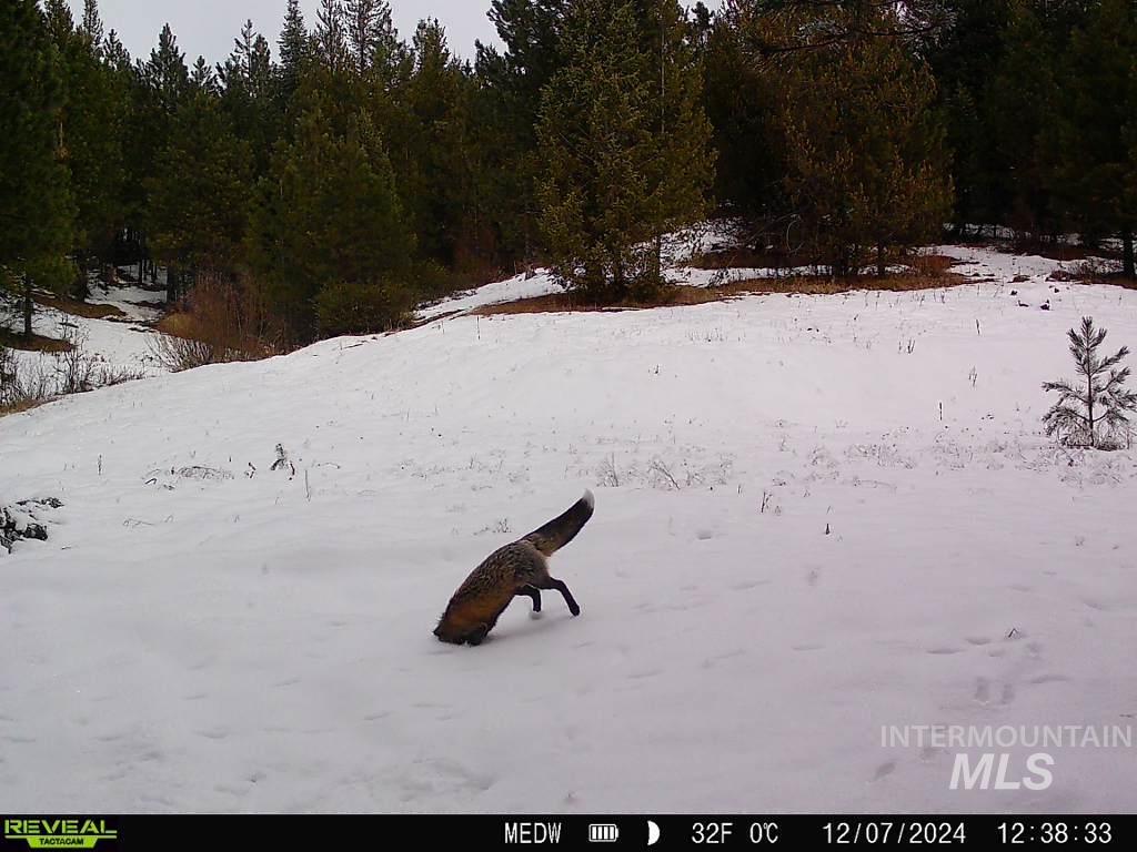 20.01 Ac Tbd Smith Ferry Dr Property Photo 12