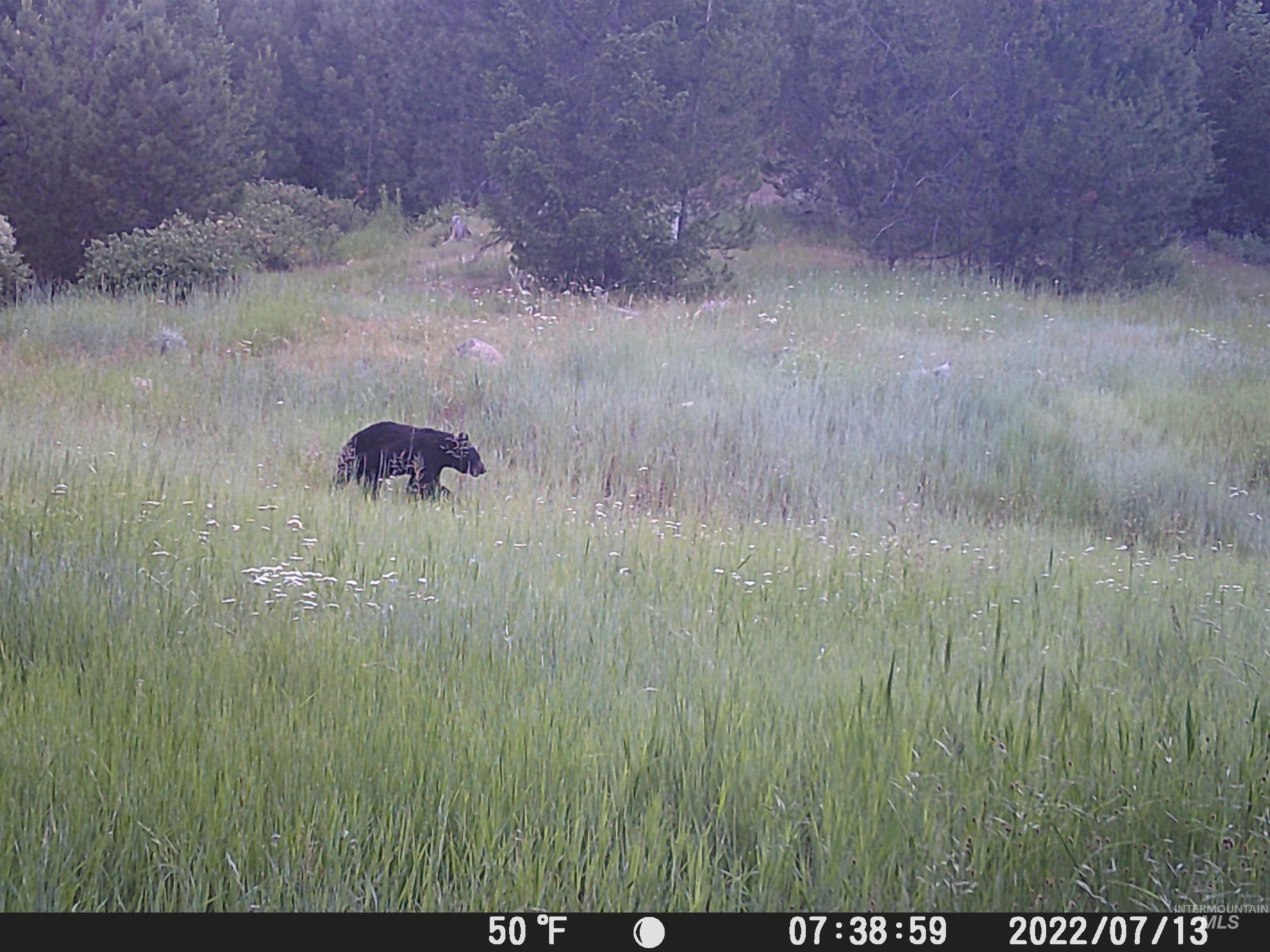 20.01 Ac Tbd Smith Ferry Dr Property Photo 13
