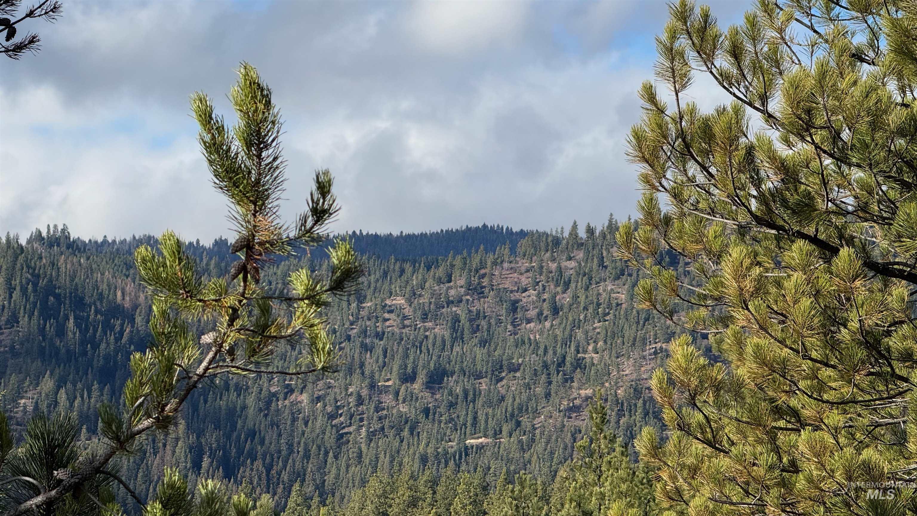 20.01 Ac Tbd Smith Ferry Dr Property Photo 14