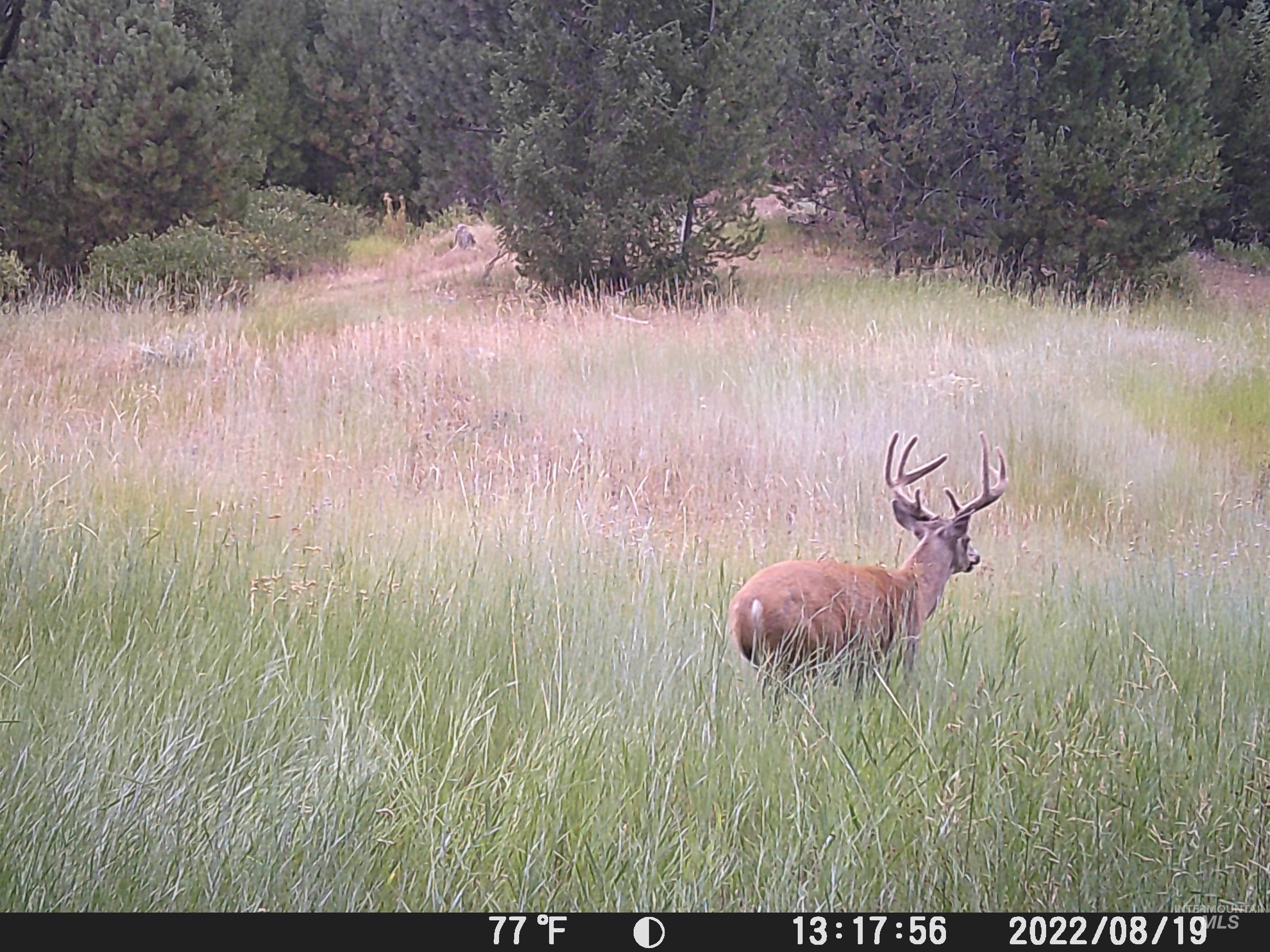 20.01 Ac Tbd Smith Ferry Dr Property Photo 15