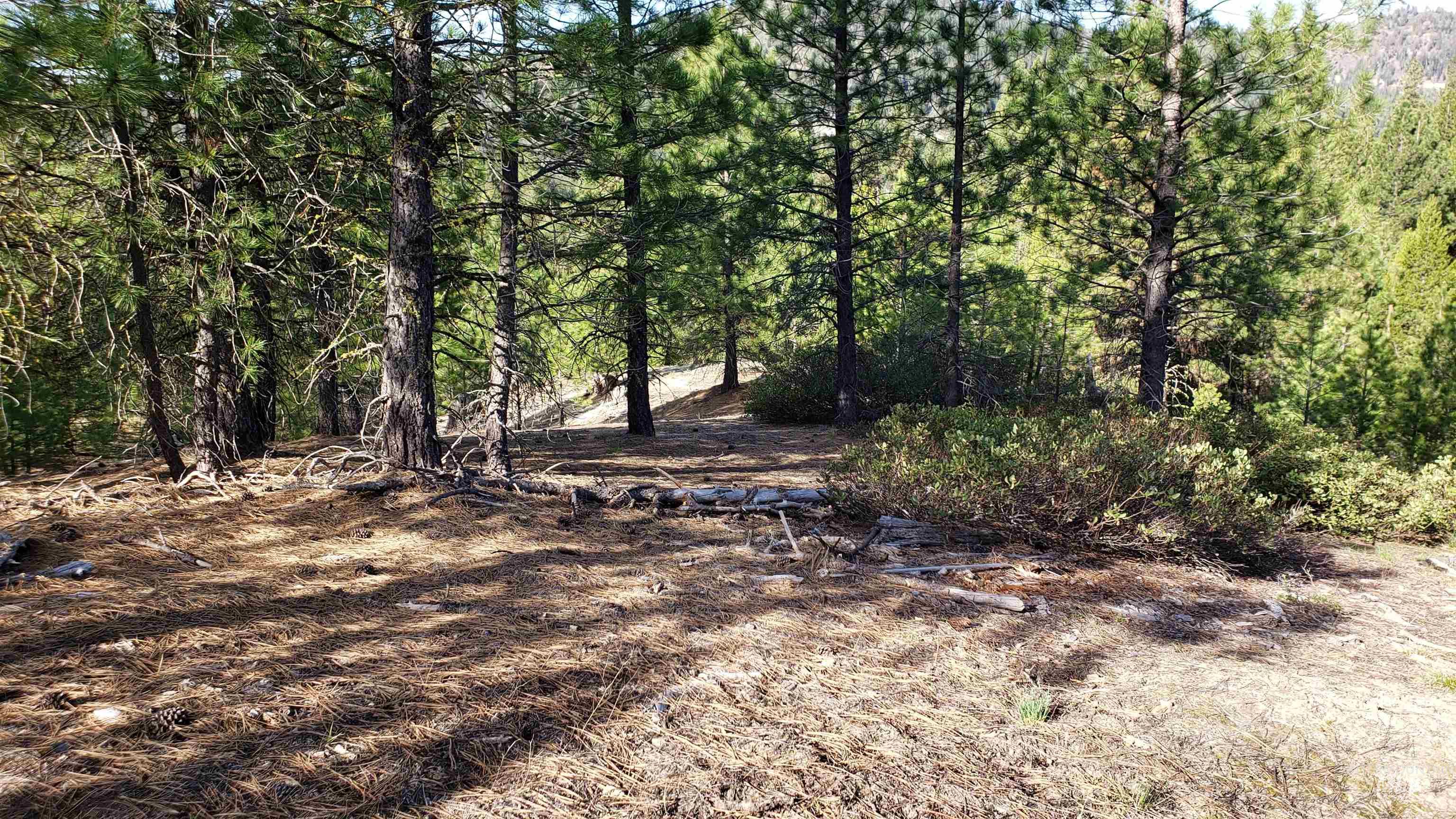 20.01 Ac Tbd Smith Ferry Dr Property Photo 16
