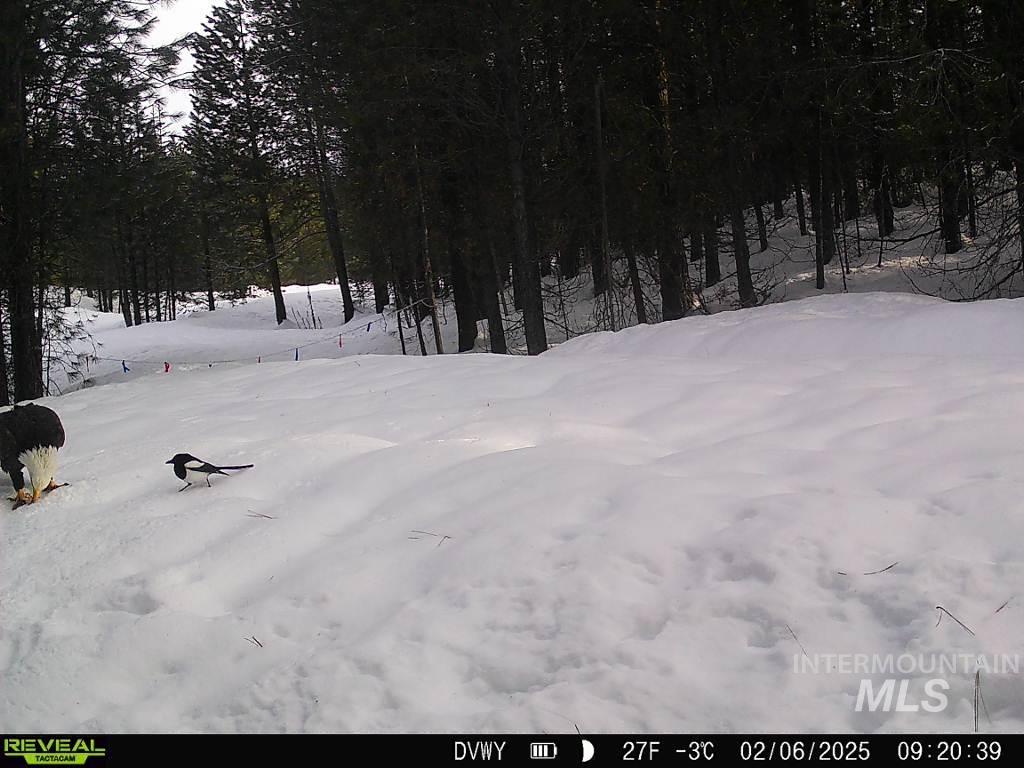 20.01 Ac Tbd Smith Ferry Dr Property Photo 17