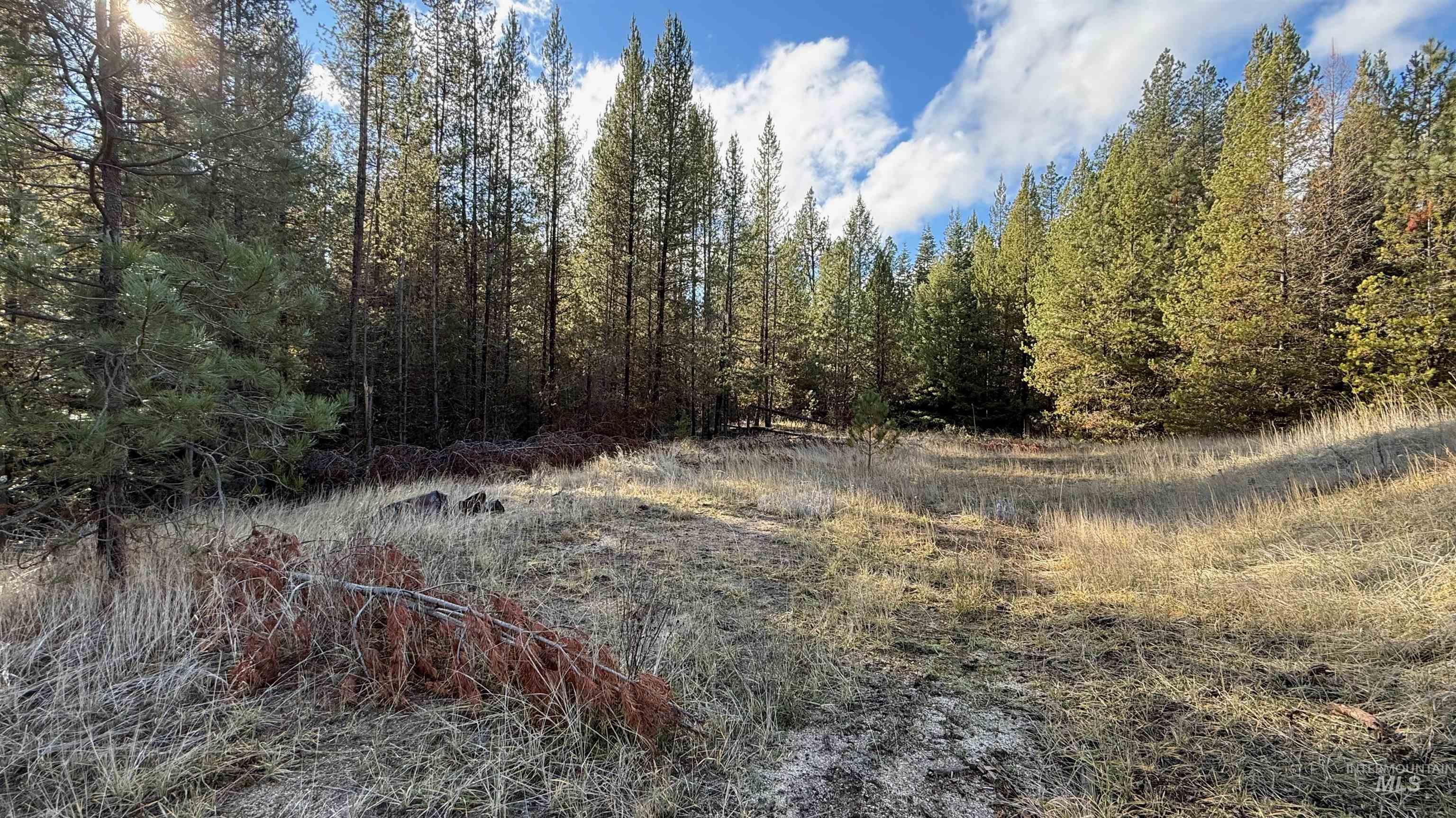20.01 Ac Tbd Smith Ferry Dr Property Photo 18