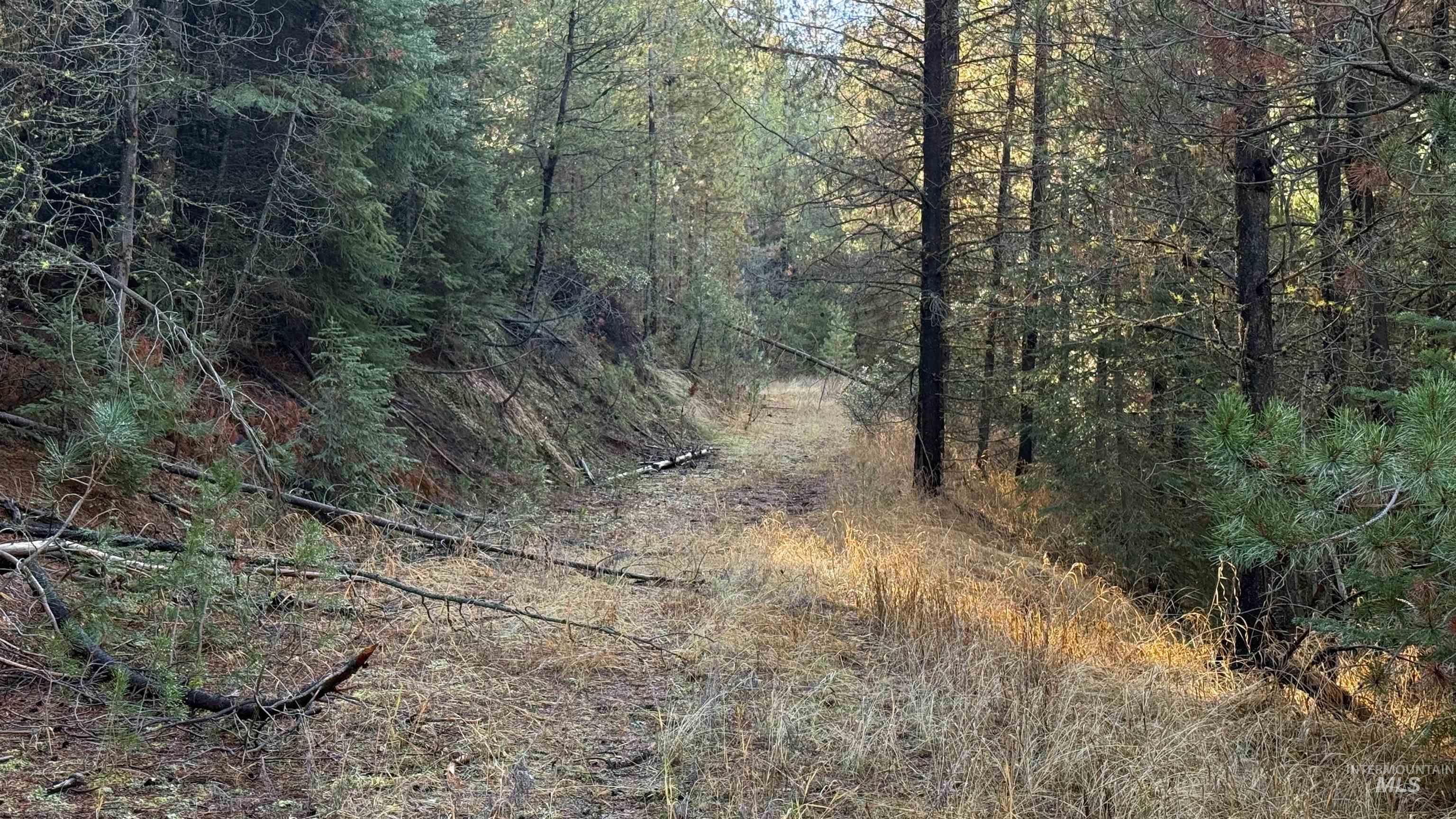 20.01 Ac Tbd Smith Ferry Dr Property Photo 21