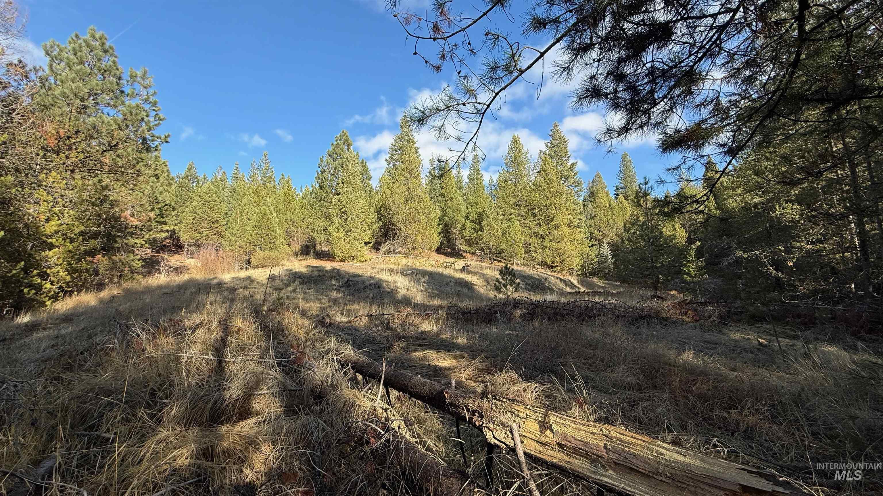 20.01 Ac Tbd Smith Ferry Dr Property Photo 22