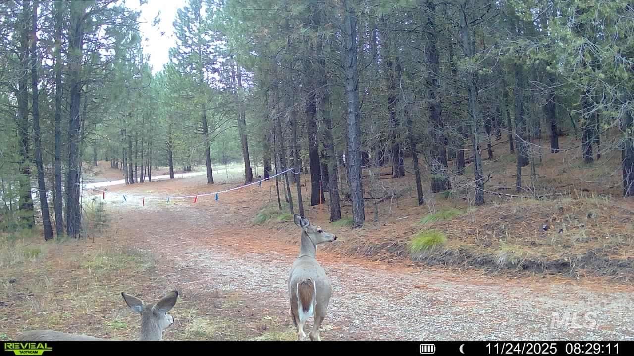 20.01 Ac Tbd Smith Ferry Dr Property Photo 23