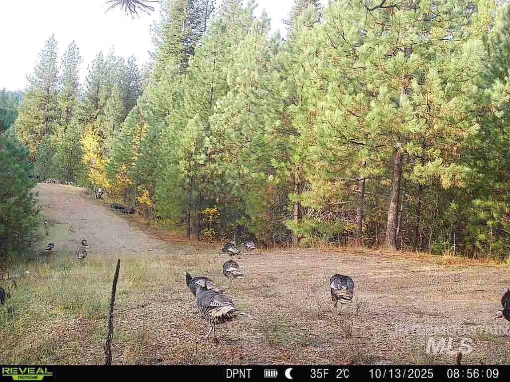 20.01 Ac Tbd Smith Ferry Dr Property Photo 24