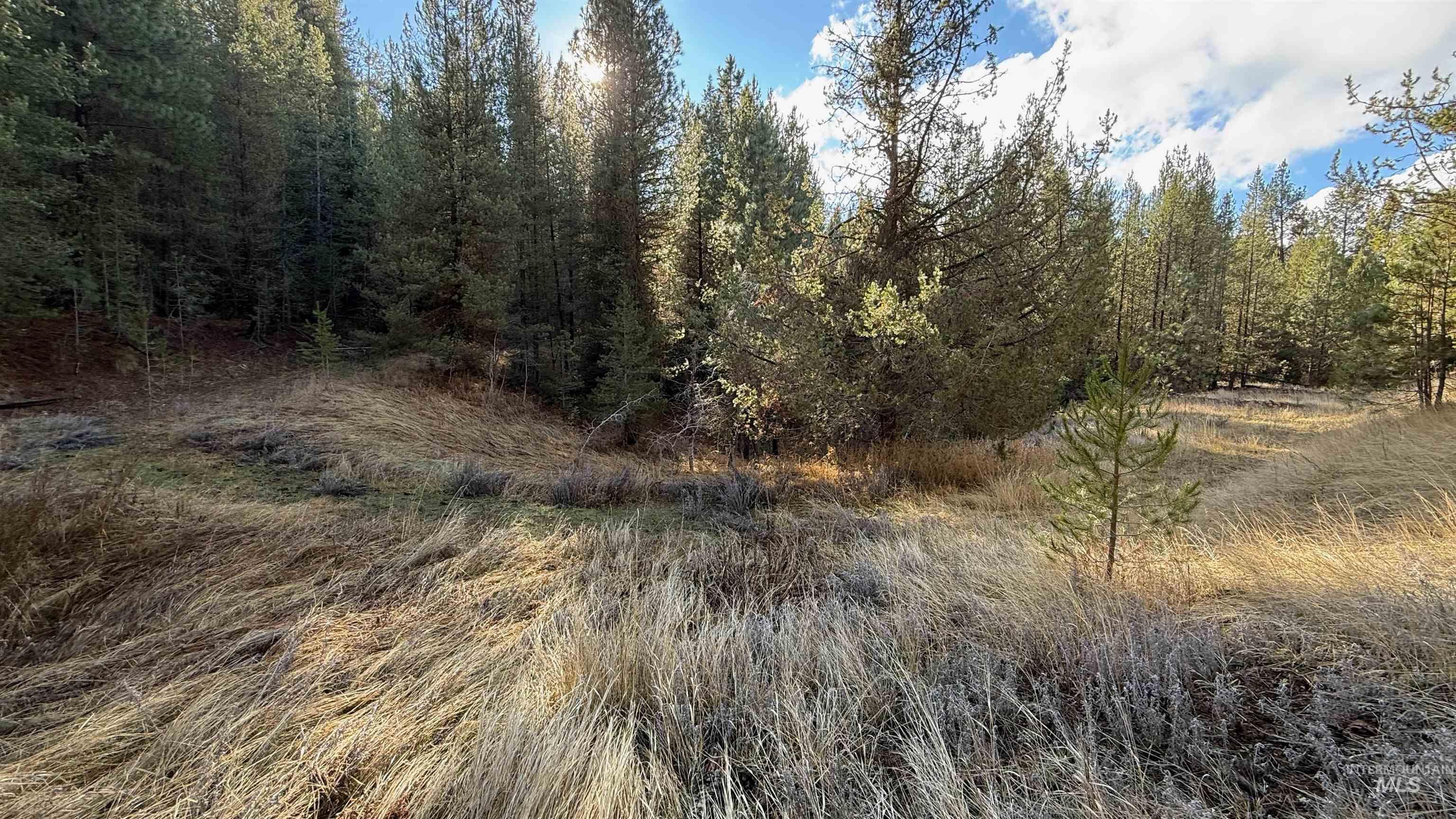 20.01 Ac Tbd Smith Ferry Dr Property Photo 25