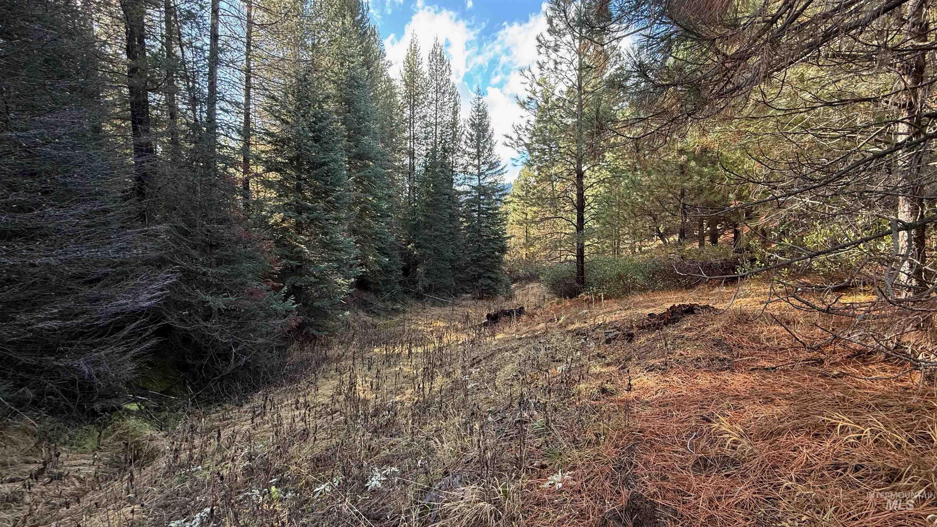 20.01 Ac Tbd Smith Ferry Dr Property Photo 26