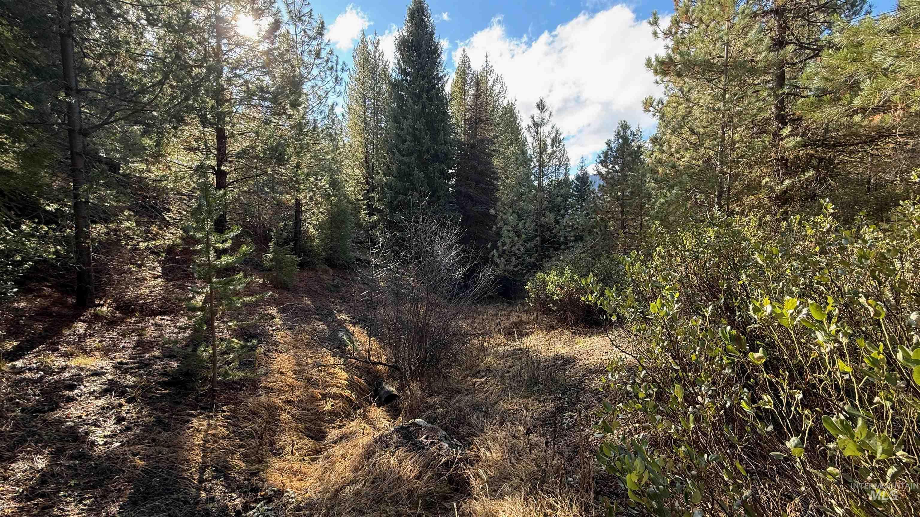 20.01 Ac Tbd Smith Ferry Dr Property Photo 27
