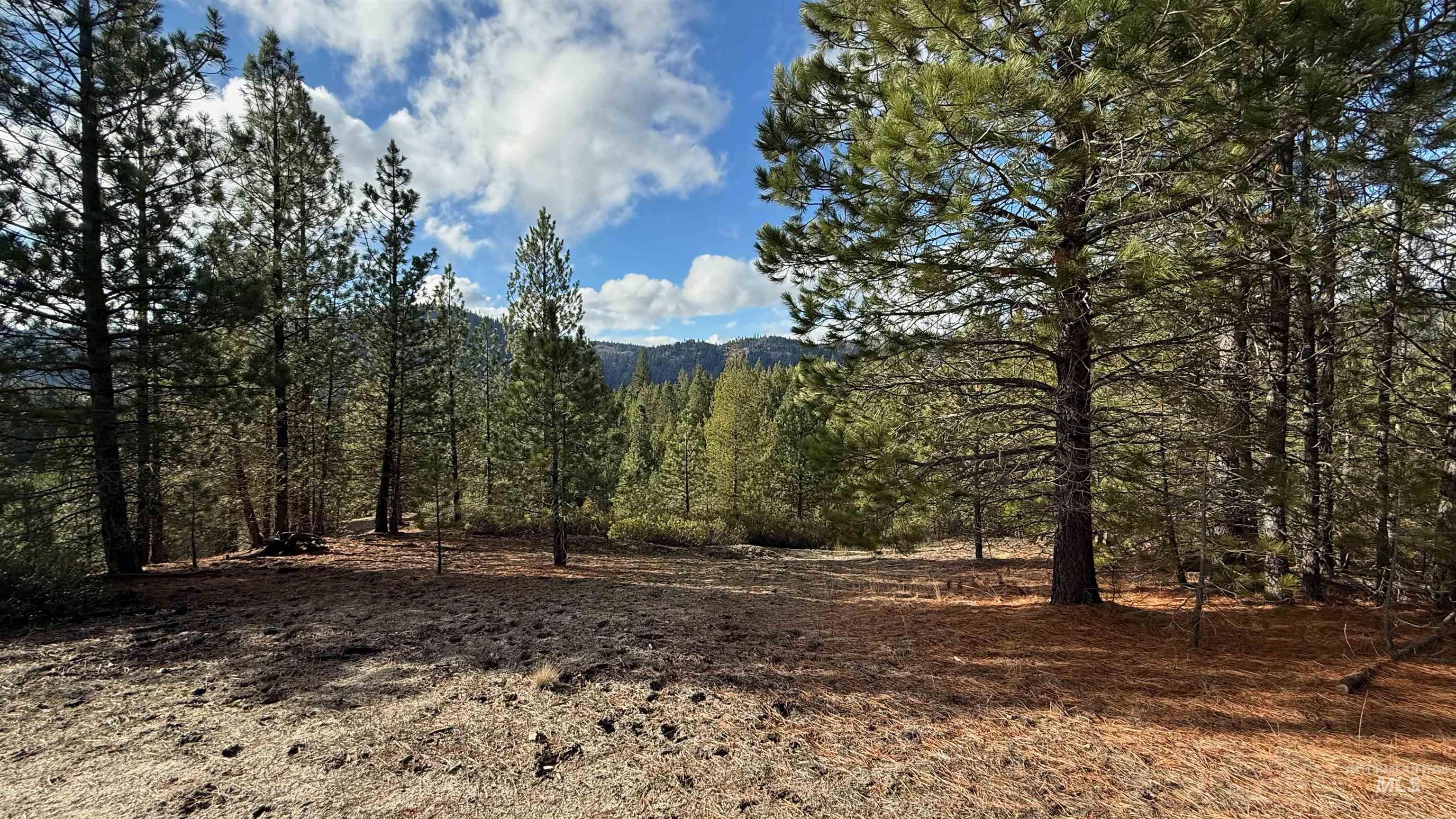 20.01 Ac Tbd Smith Ferry Dr Property Photo 28