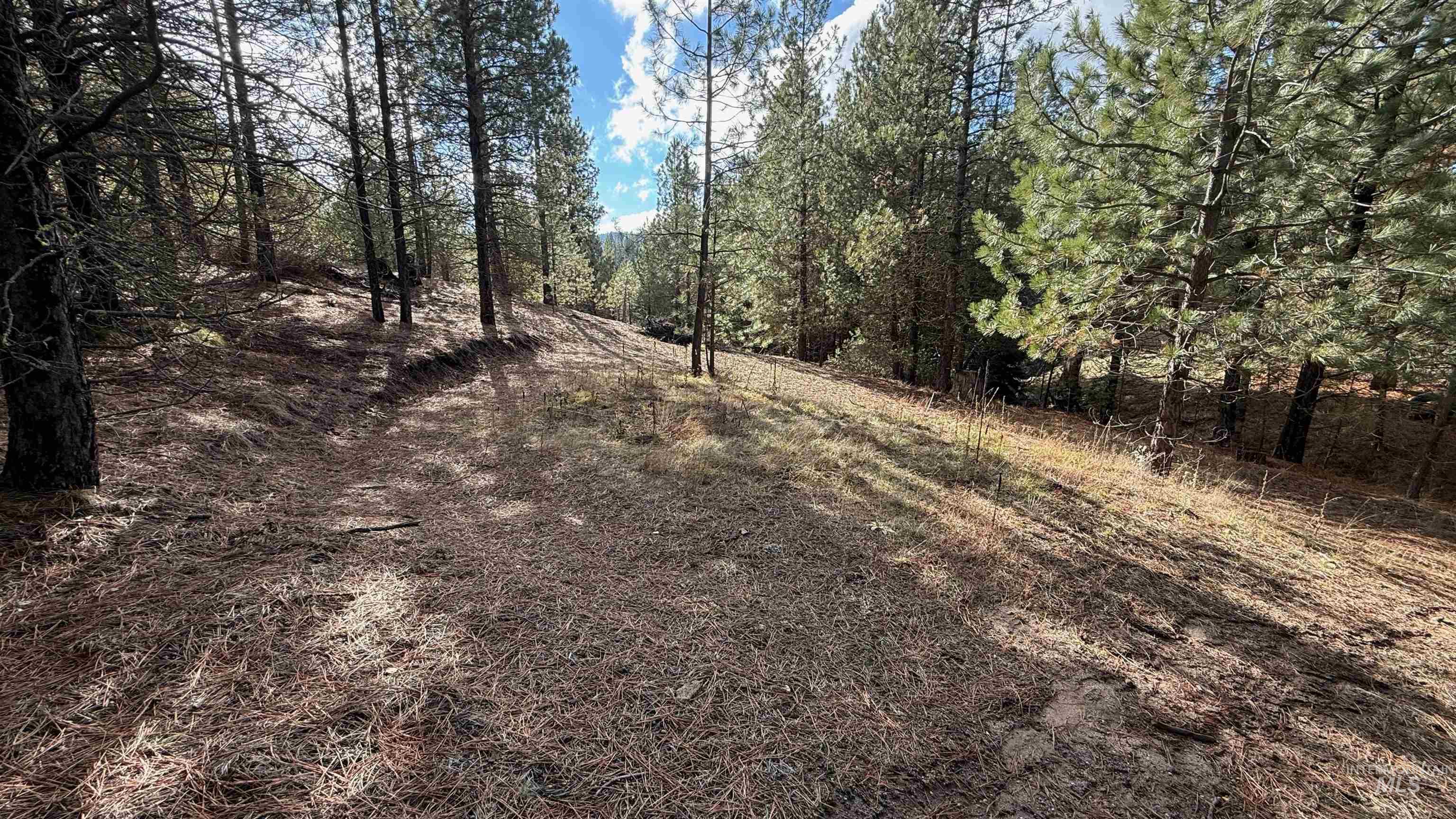 20.01 Ac Tbd Smith Ferry Dr Property Photo 29