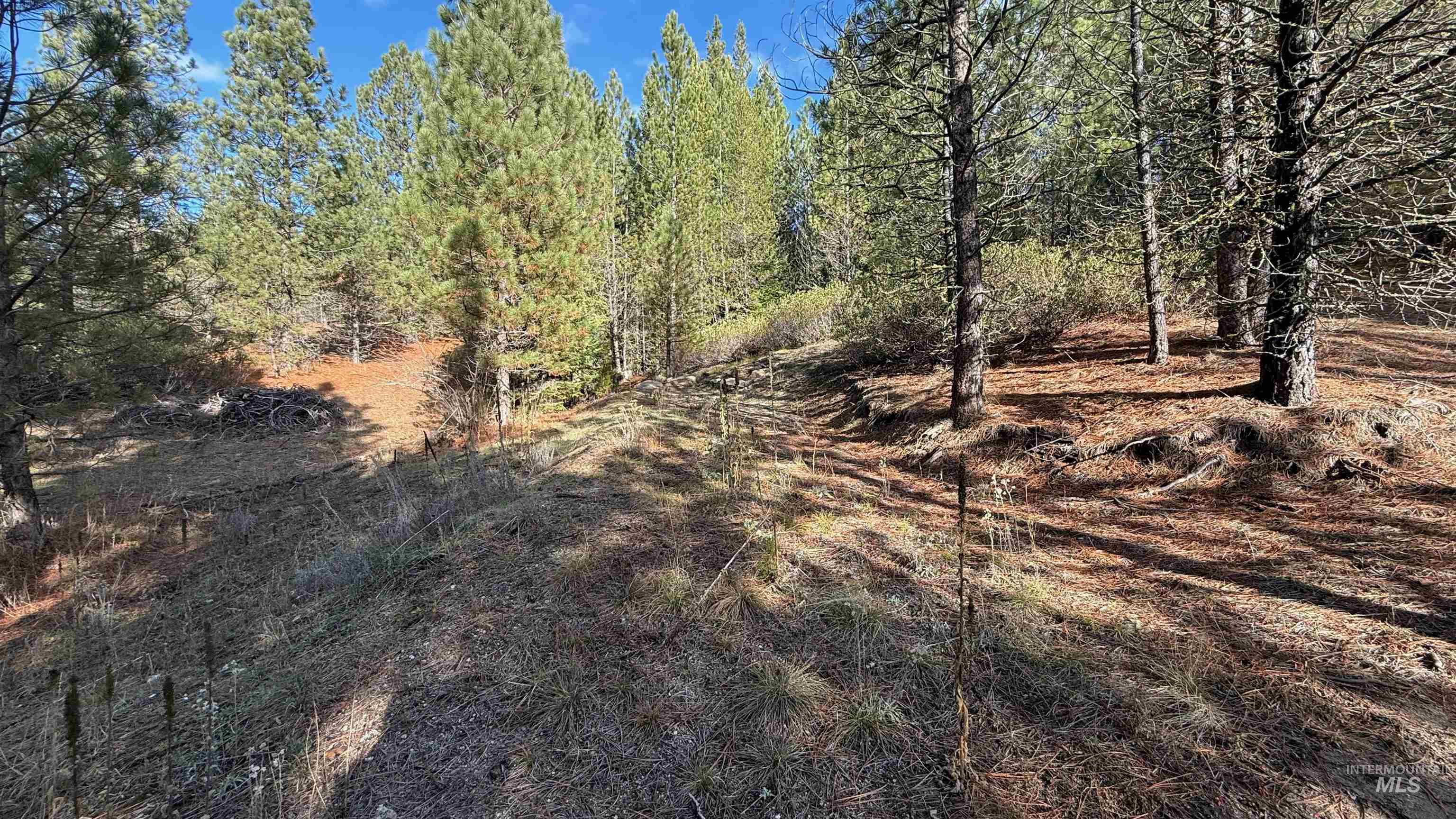 20.01 Ac Tbd Smith Ferry Dr Property Photo 30