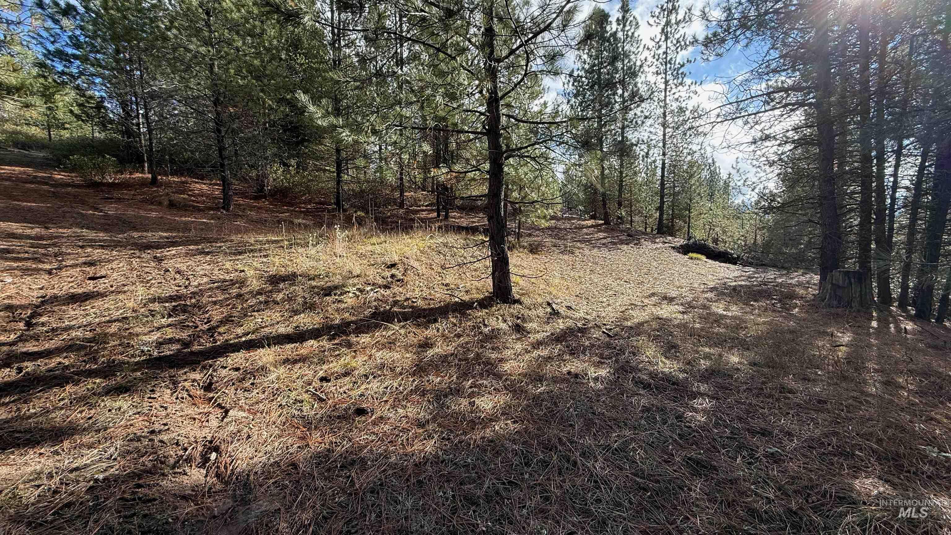 20.01 Ac Tbd Smith Ferry Dr Property Photo 31