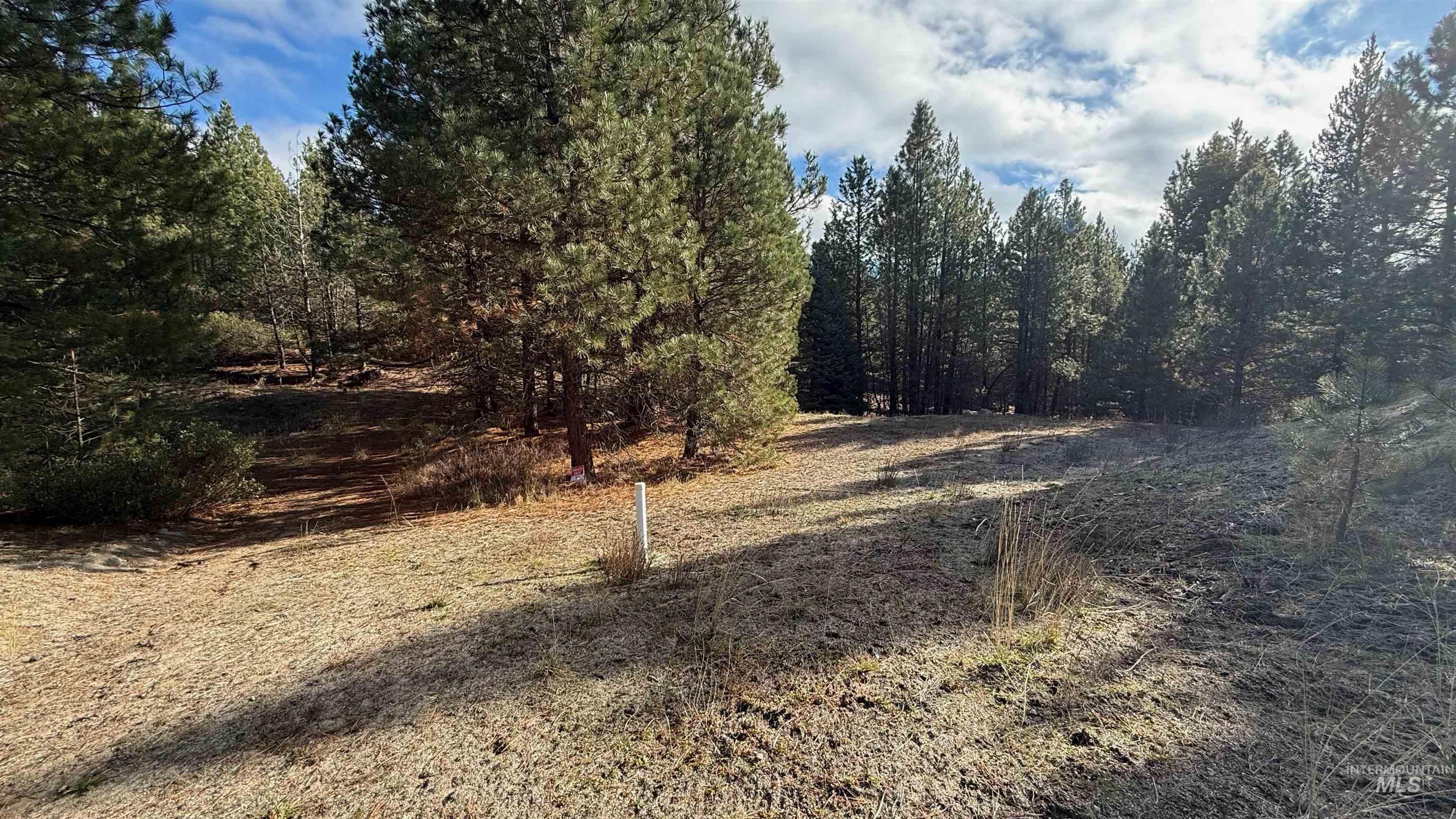 20.01 Ac Tbd Smith Ferry Dr Property Photo 32