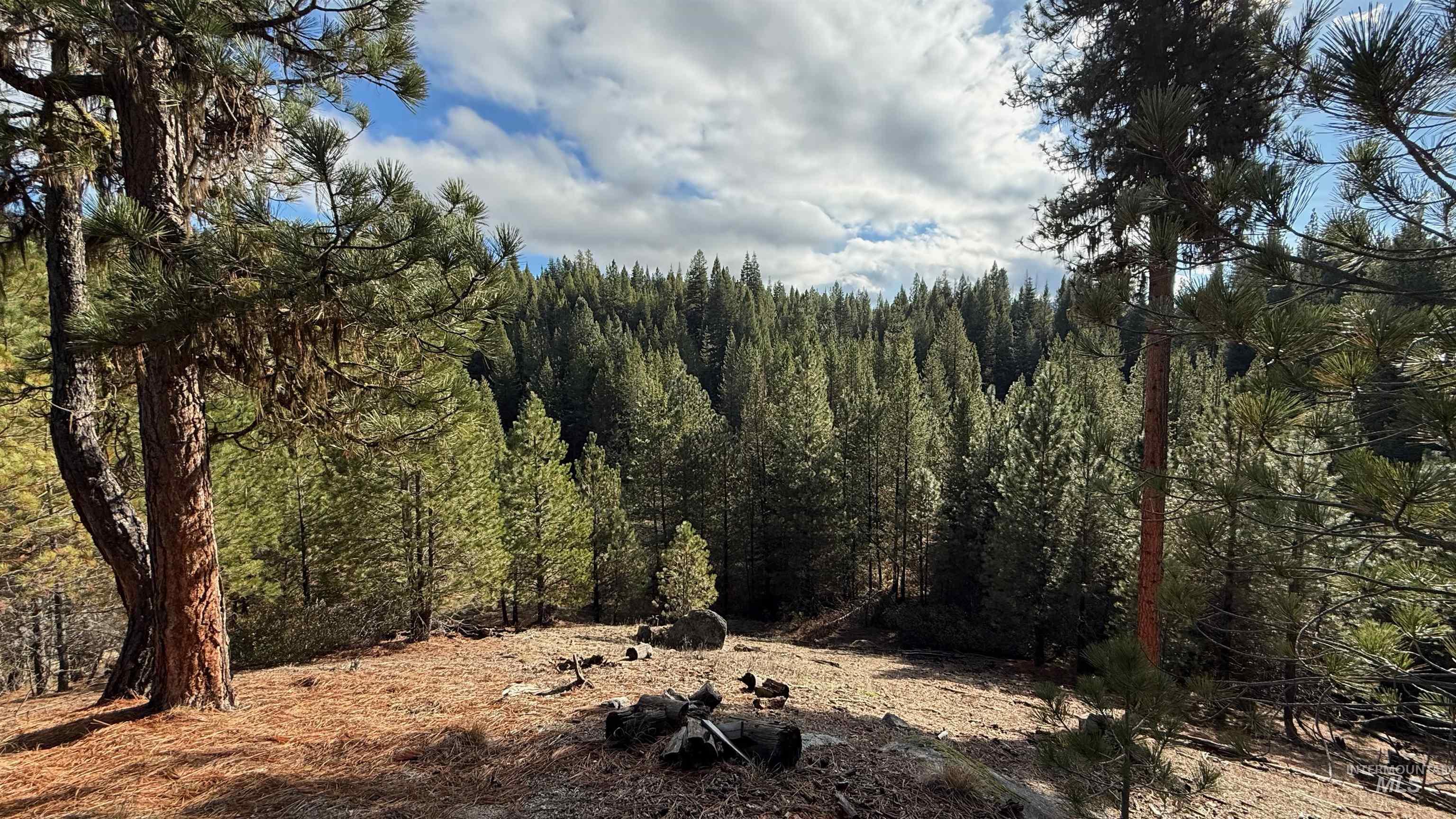20.01 Ac Tbd Smith Ferry Dr Property Photo 34