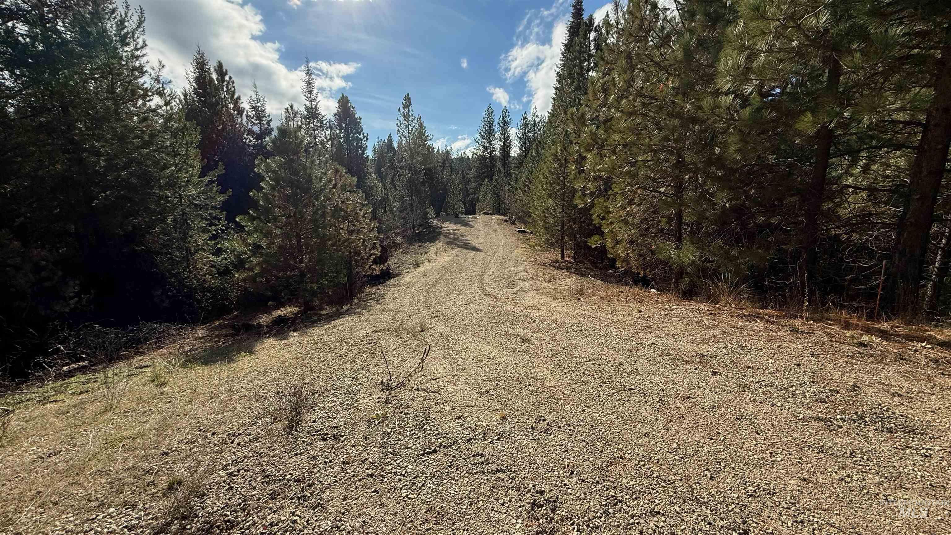 20.01 Ac Tbd Smith Ferry Dr Property Photo 39