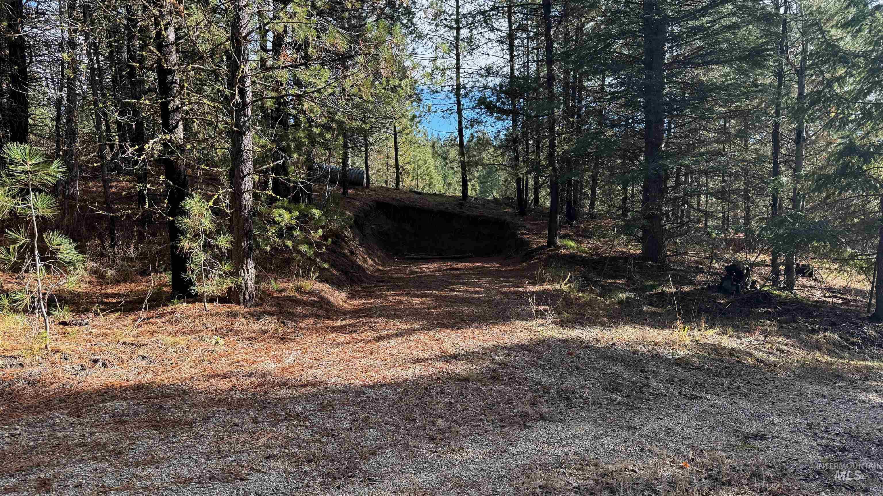 20.01 Ac Tbd Smith Ferry Dr Property Photo 40