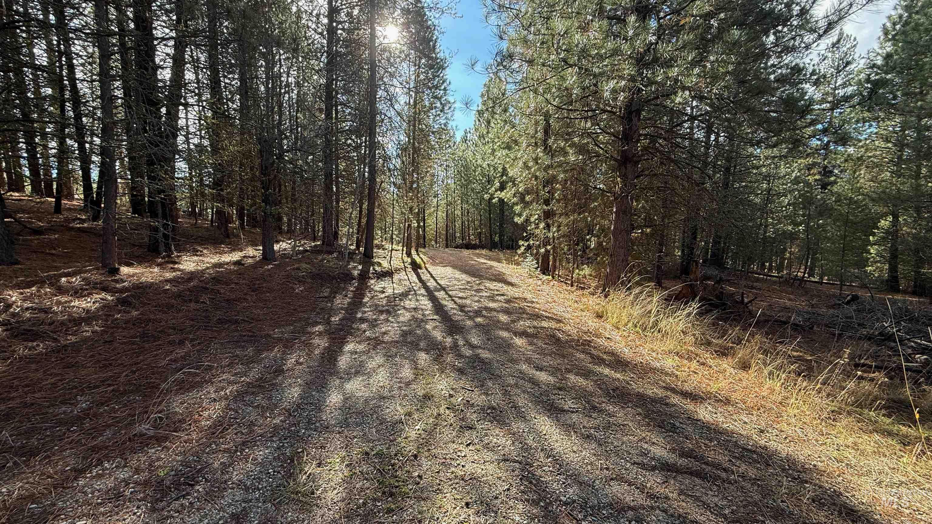 20.01 Ac Tbd Smith Ferry Dr Property Photo 41