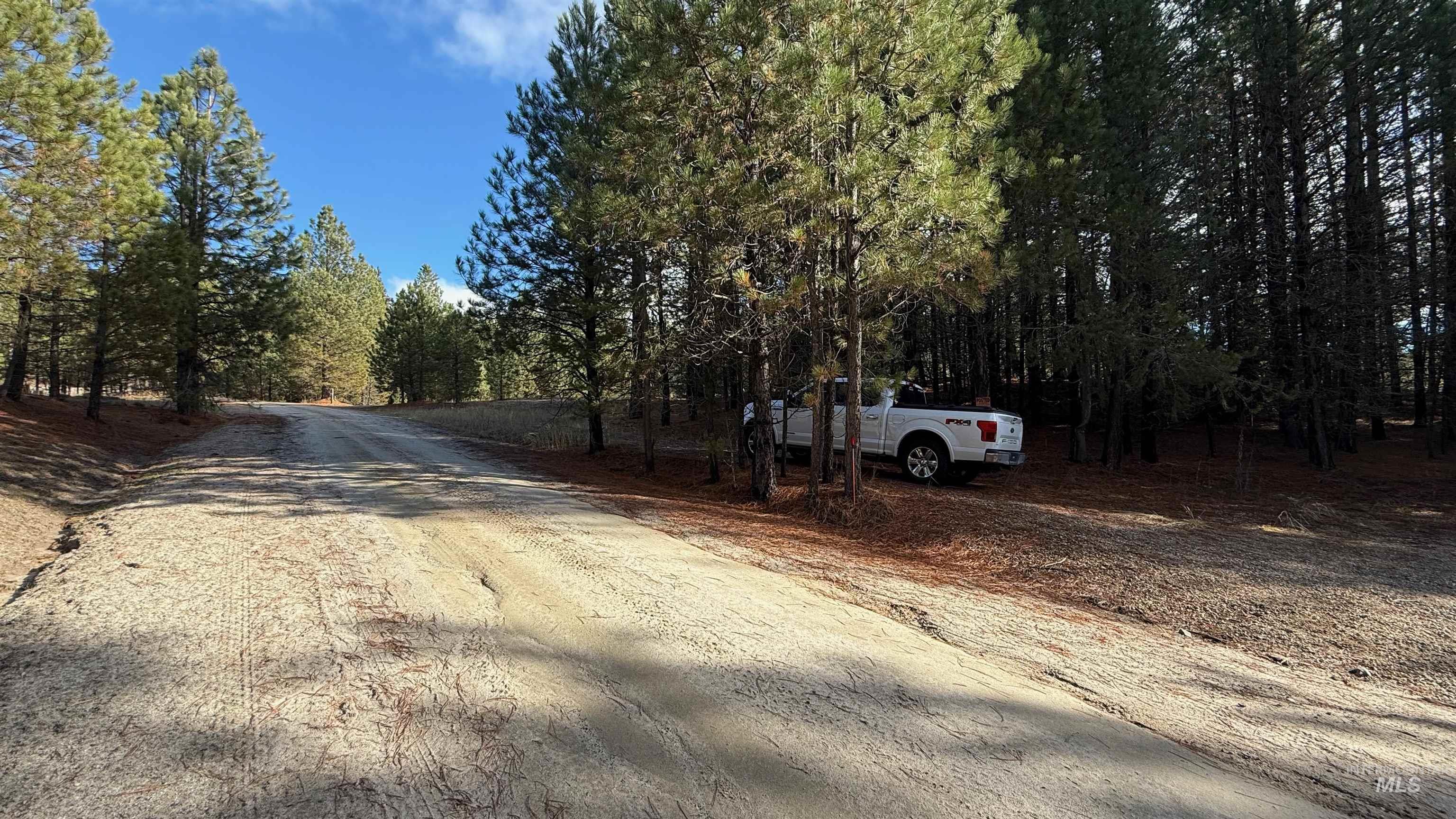 20.01 Ac Tbd Smith Ferry Dr Property Photo 43
