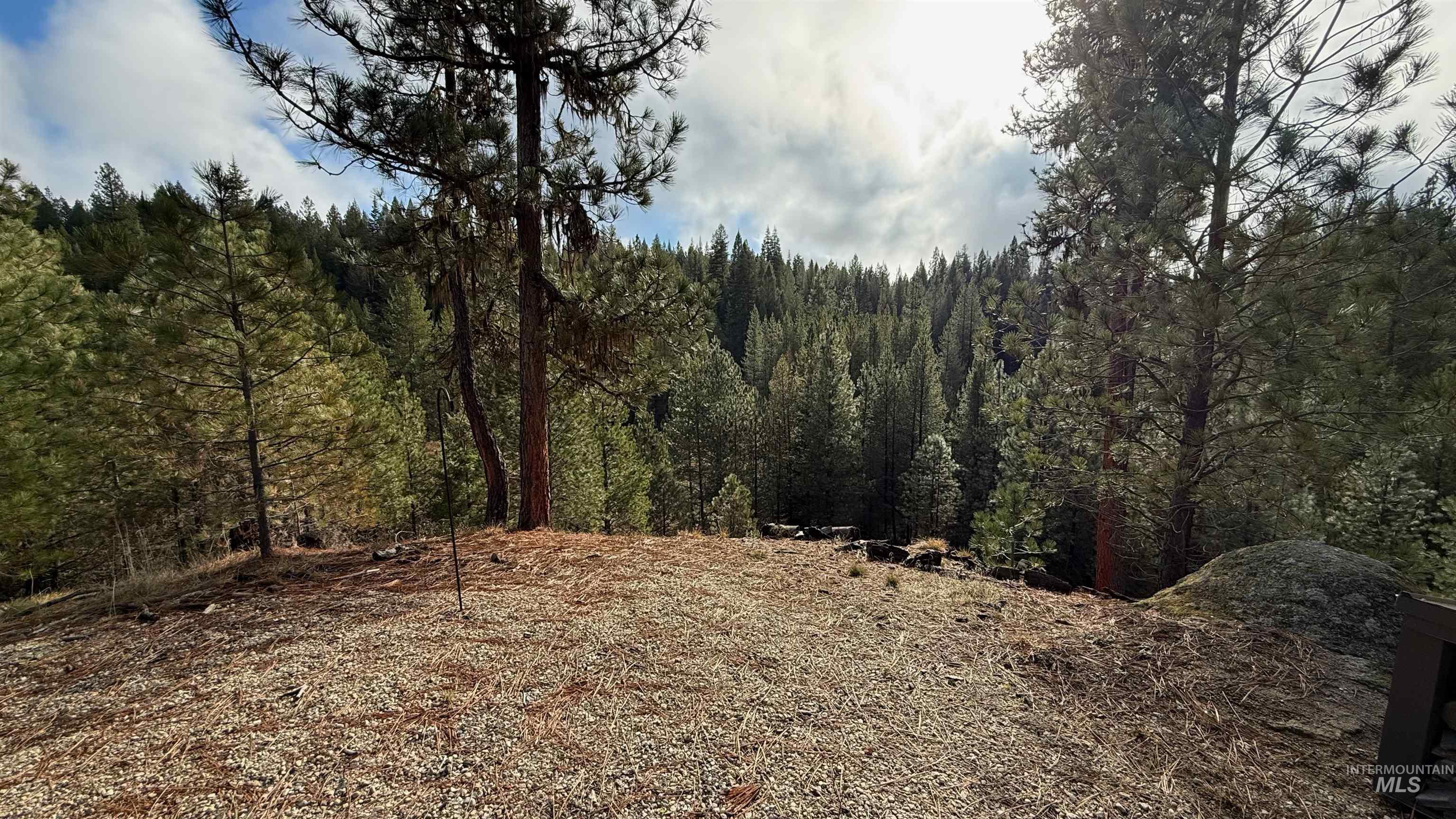 20.01 Ac Tbd Smith Ferry Dr Property Photo 45