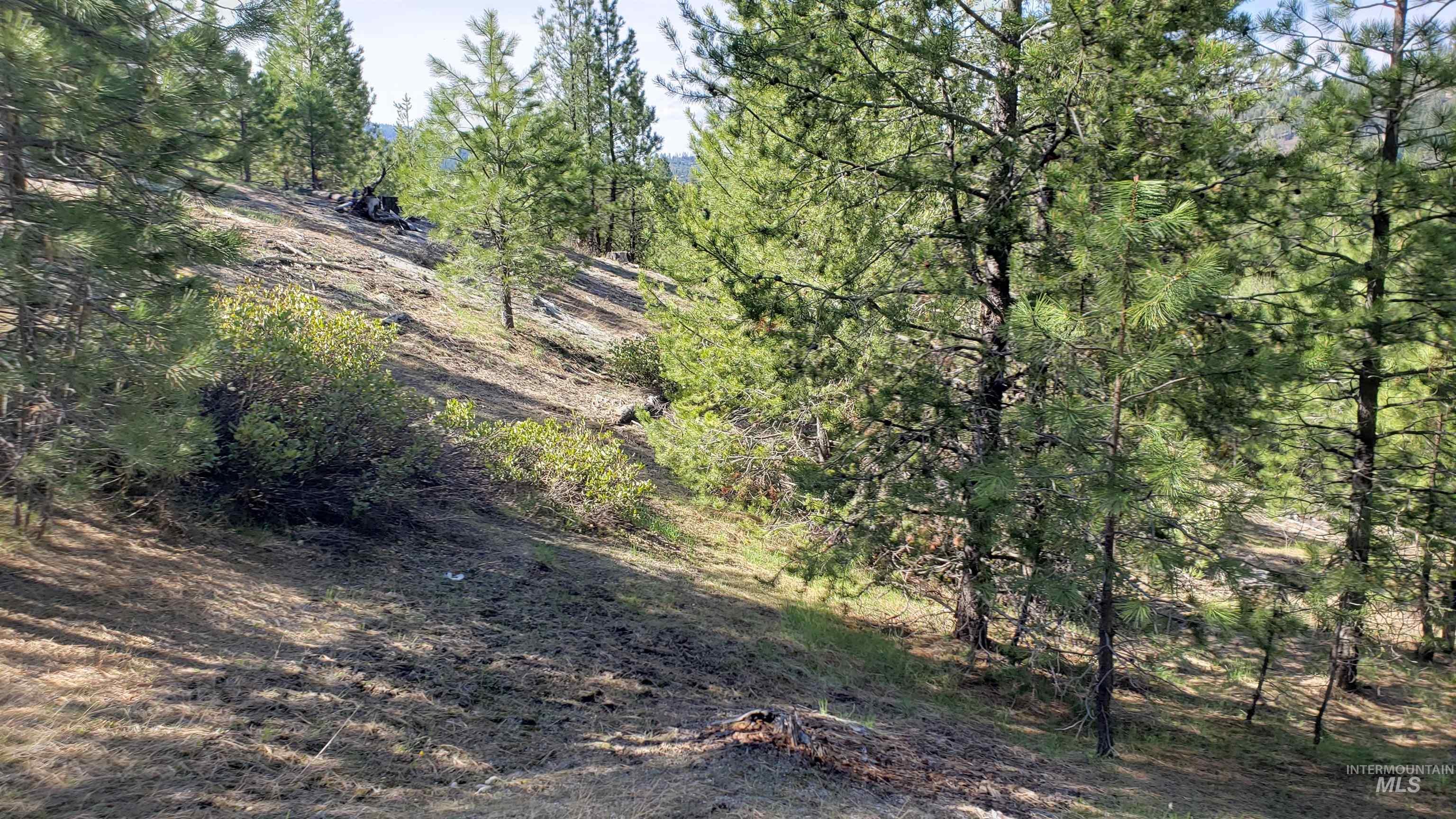 20.01 Ac Tbd Smith Ferry Dr Property Photo 48