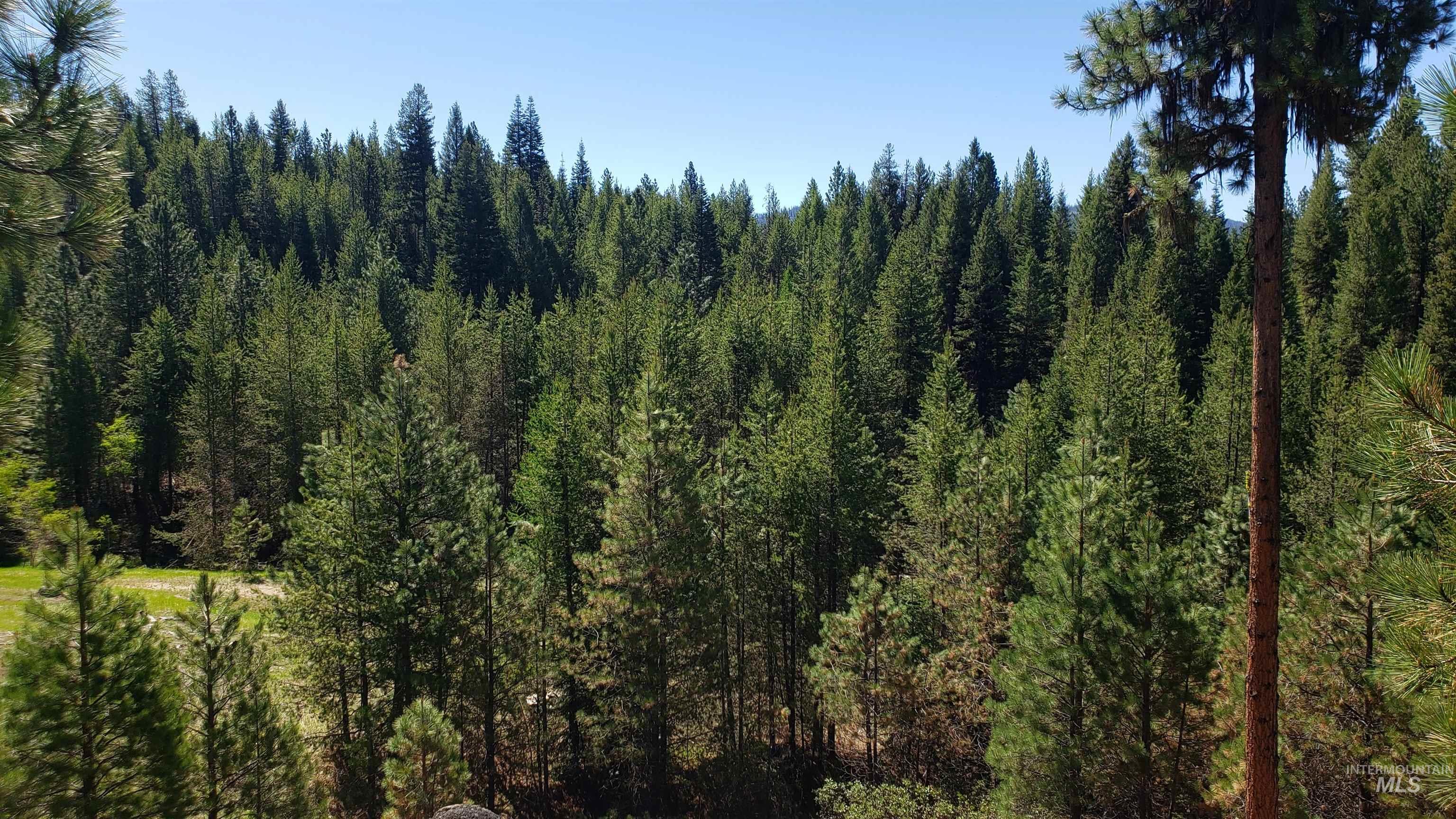 20.01 Ac Tbd Smith Ferry Dr Property Photo 49