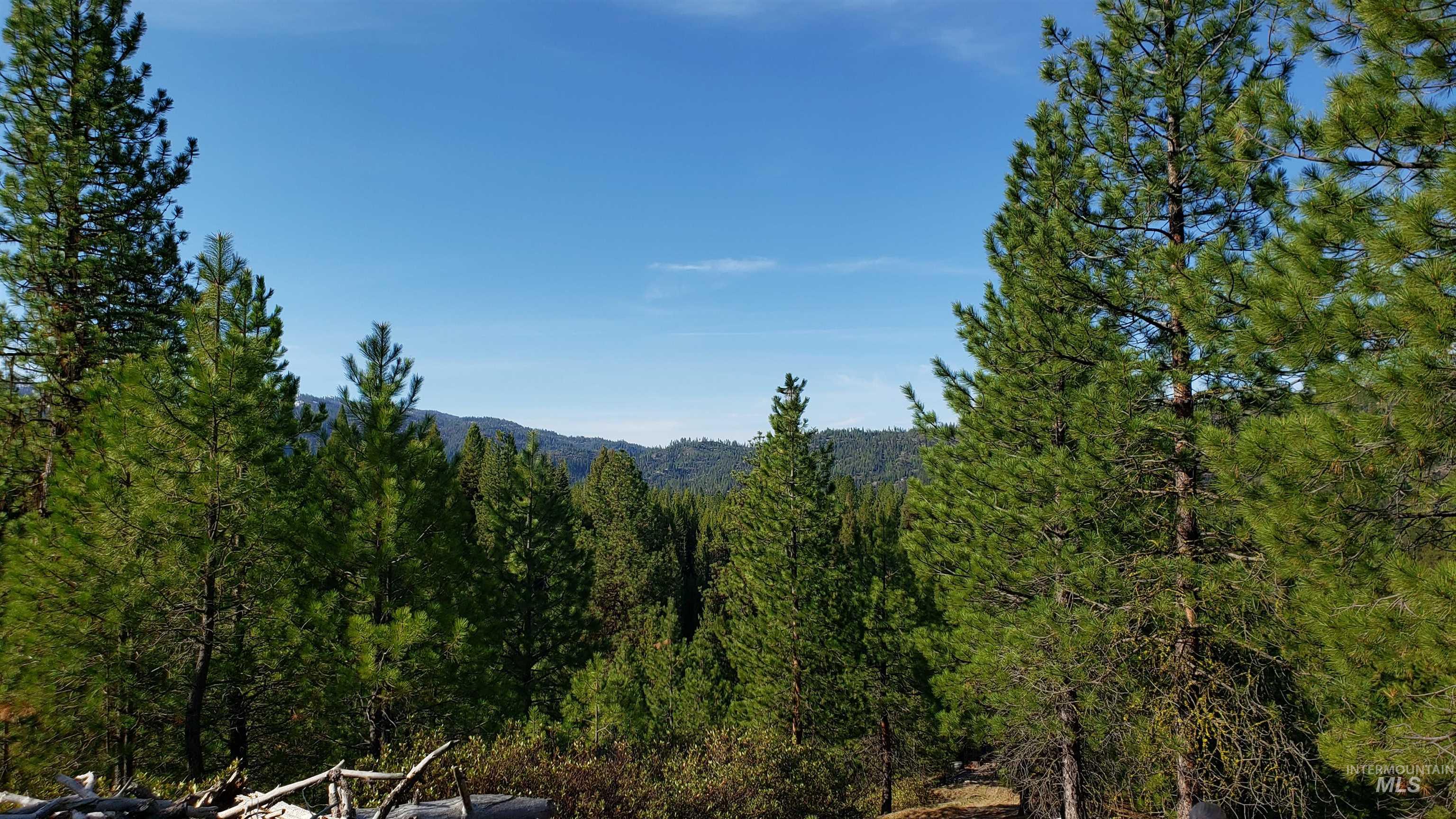 20.01 Ac Tbd Smith Ferry Dr Property Photo 50