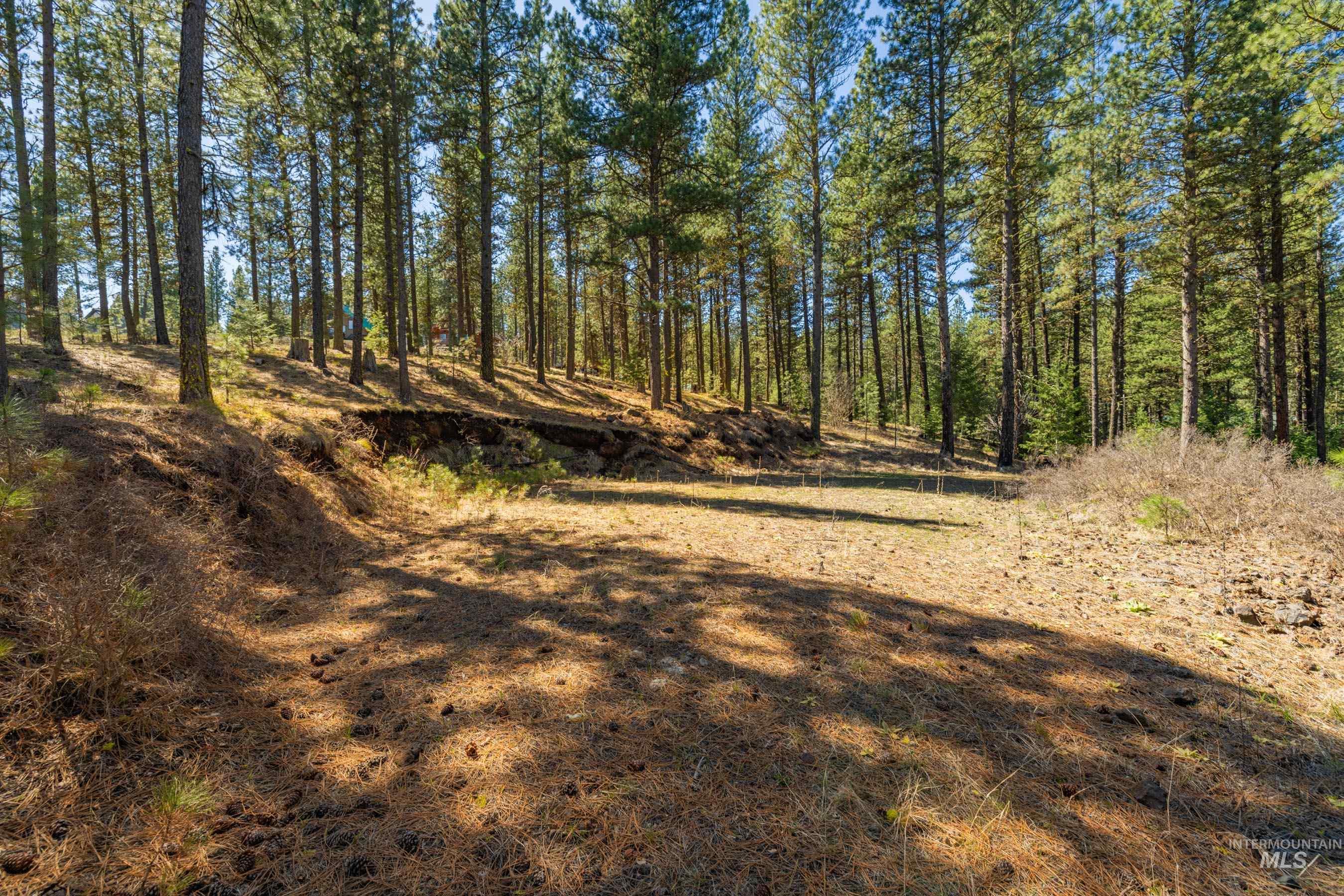 Lot 27 Hot Springs Road Property Photo 8