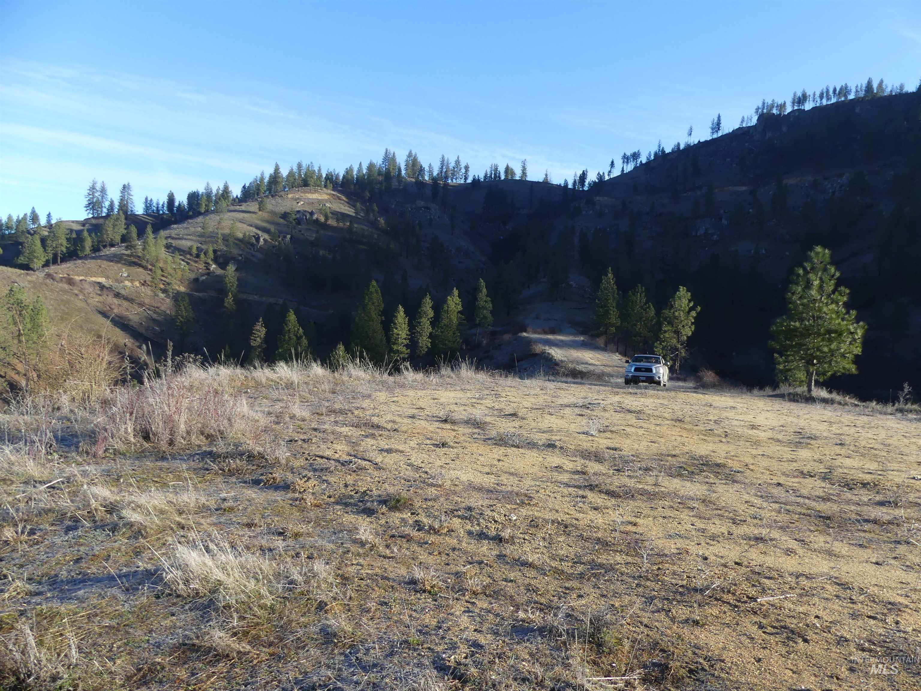 1408 Carrot Ridge Road Property Photo 6