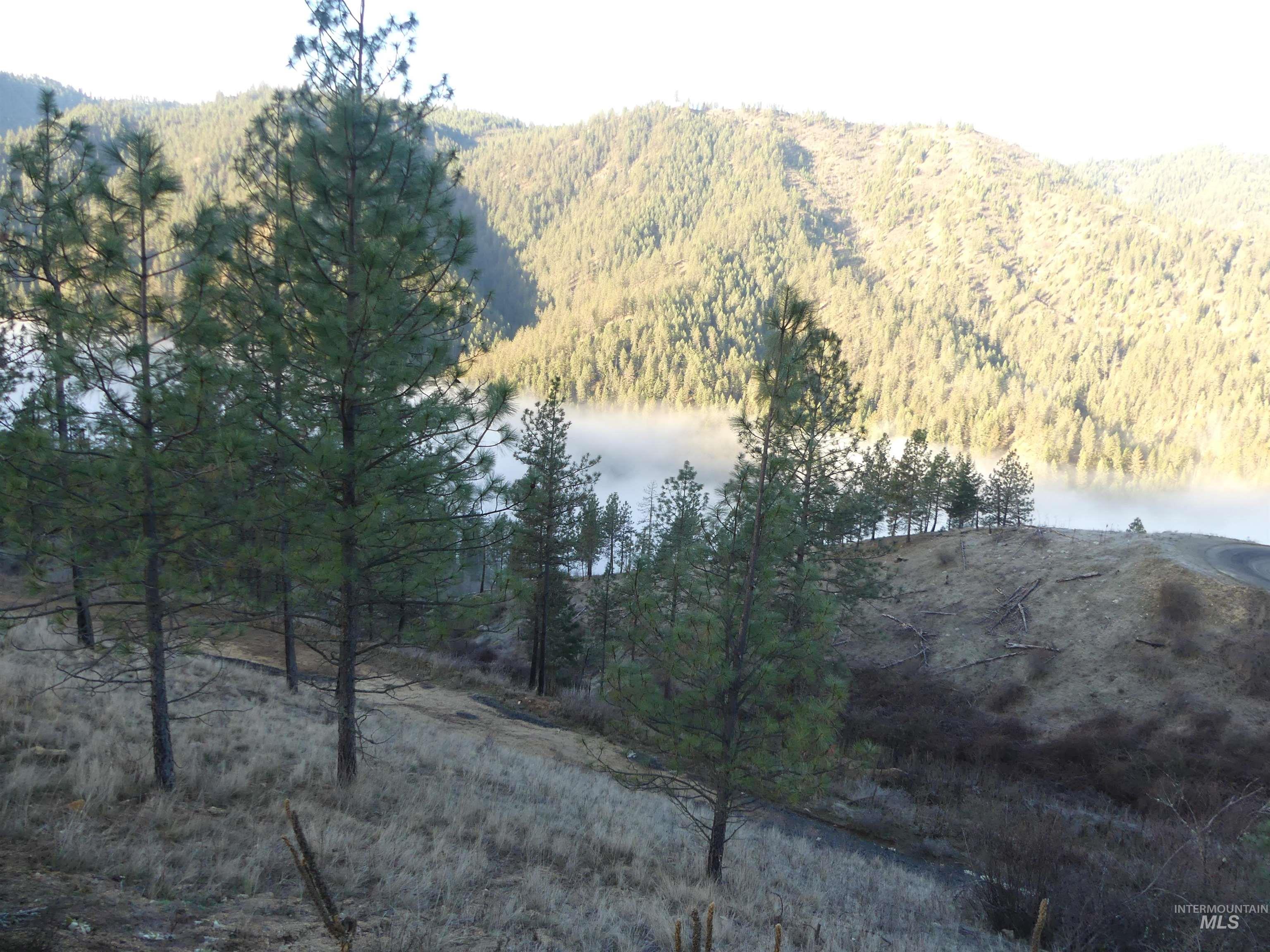 1408 Carrot Ridge Road Property Photo 10