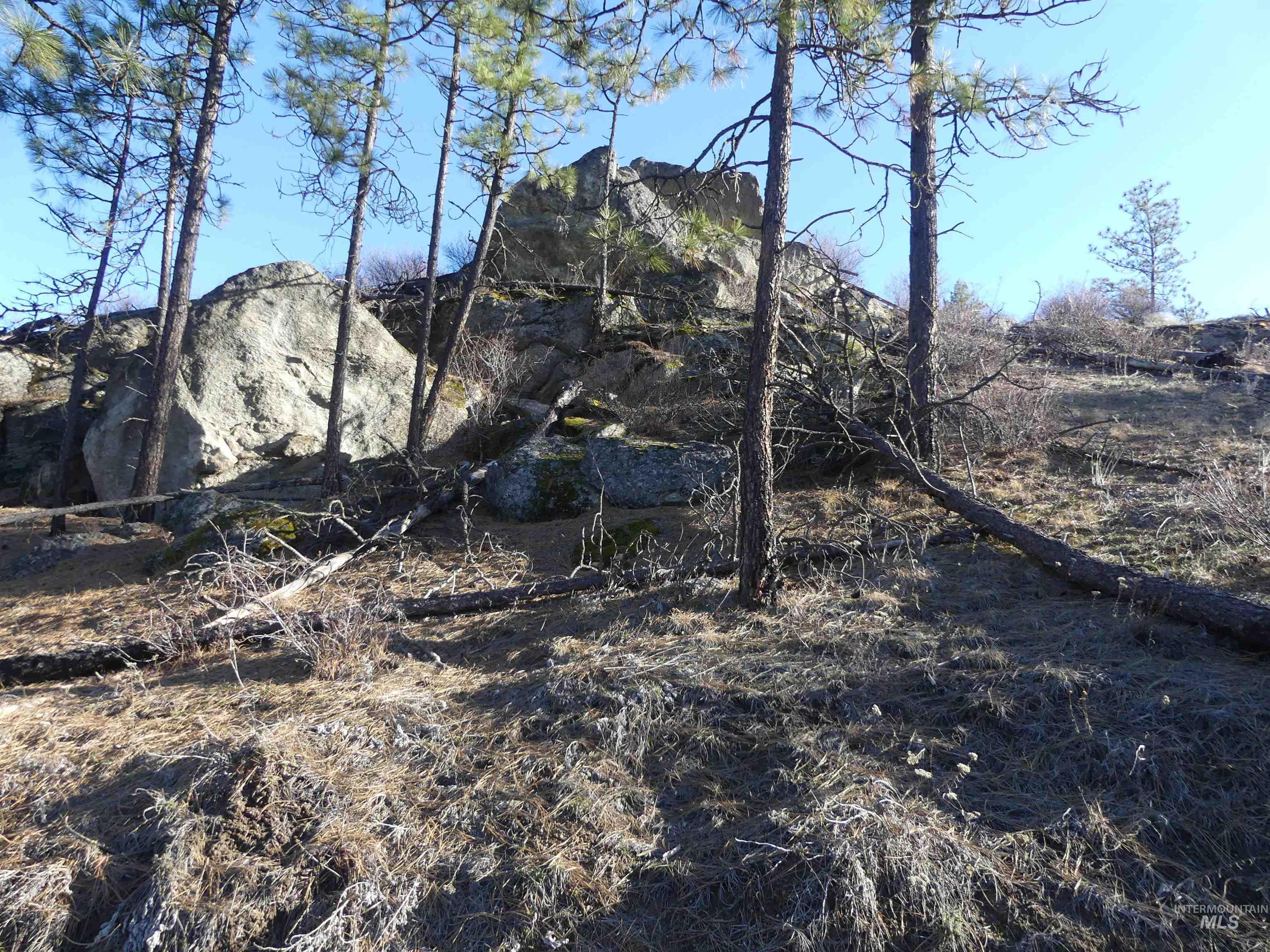 1408 Carrot Ridge Road Property Photo 11