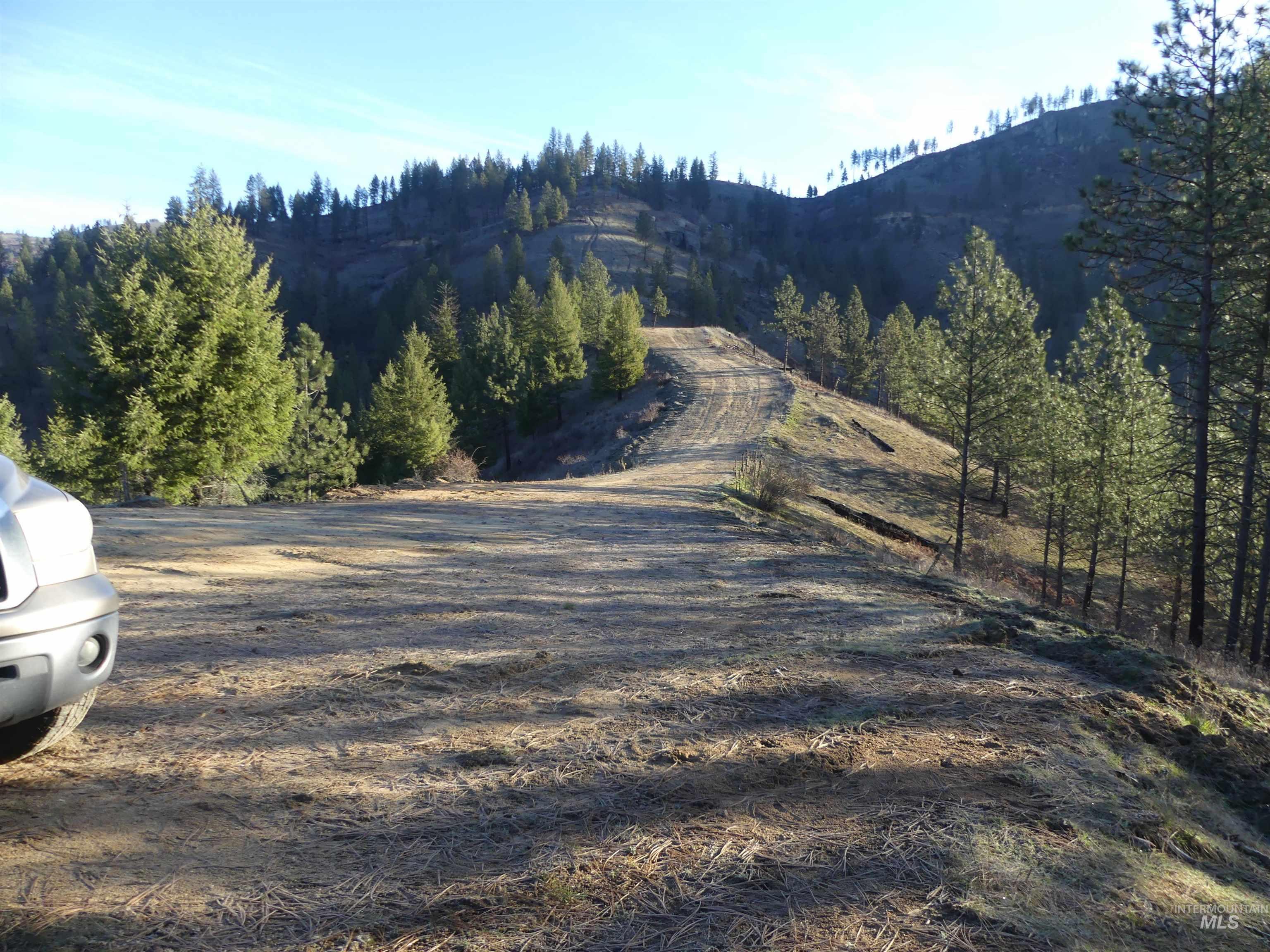 1408 Carrot Ridge Road Property Photo 14