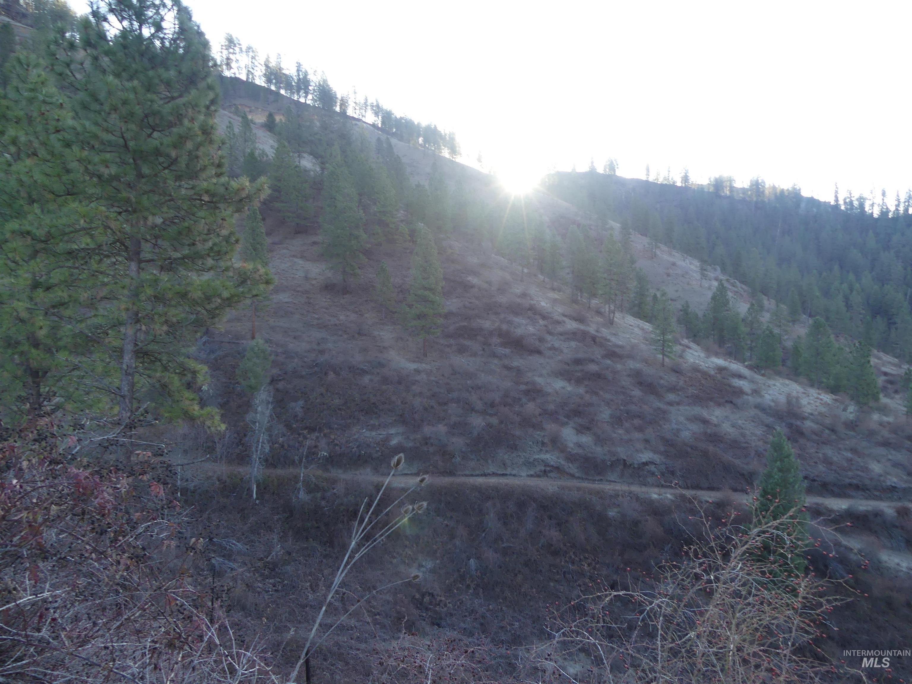 1408 Carrot Ridge Road Property Photo 16
