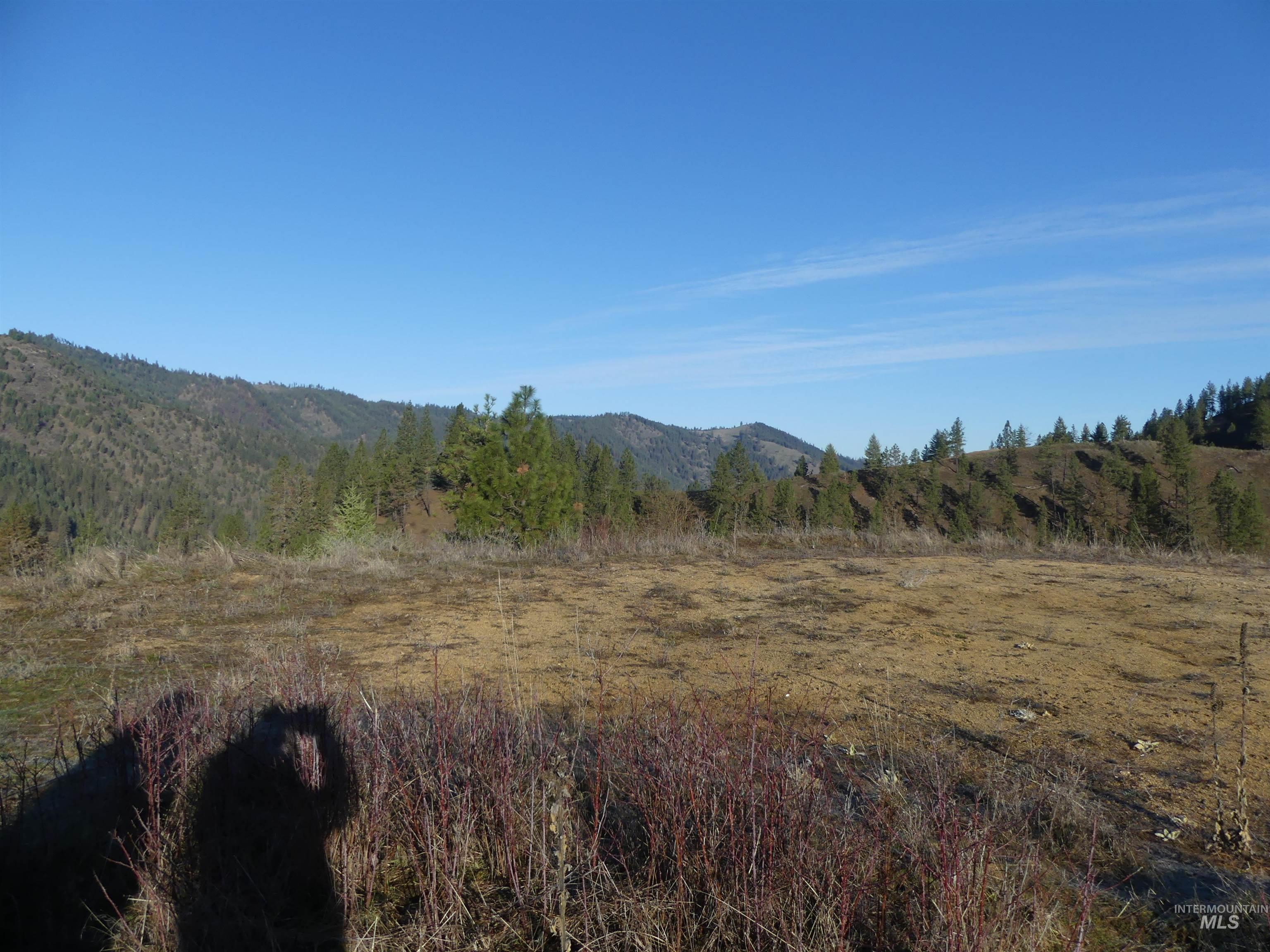 1408 Carrot Ridge Road Property Photo 17