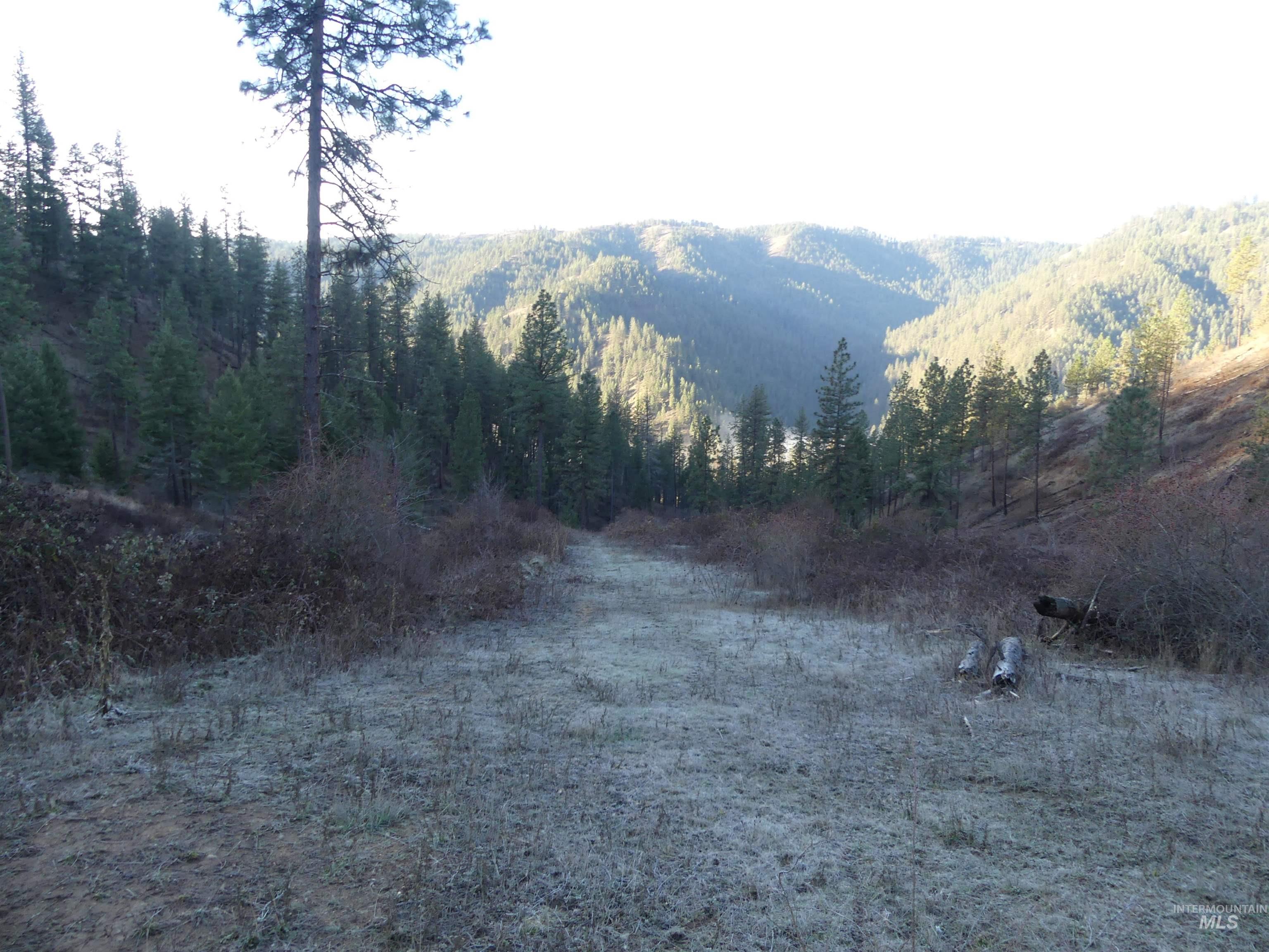 1408 Carrot Ridge Road Property Photo 18