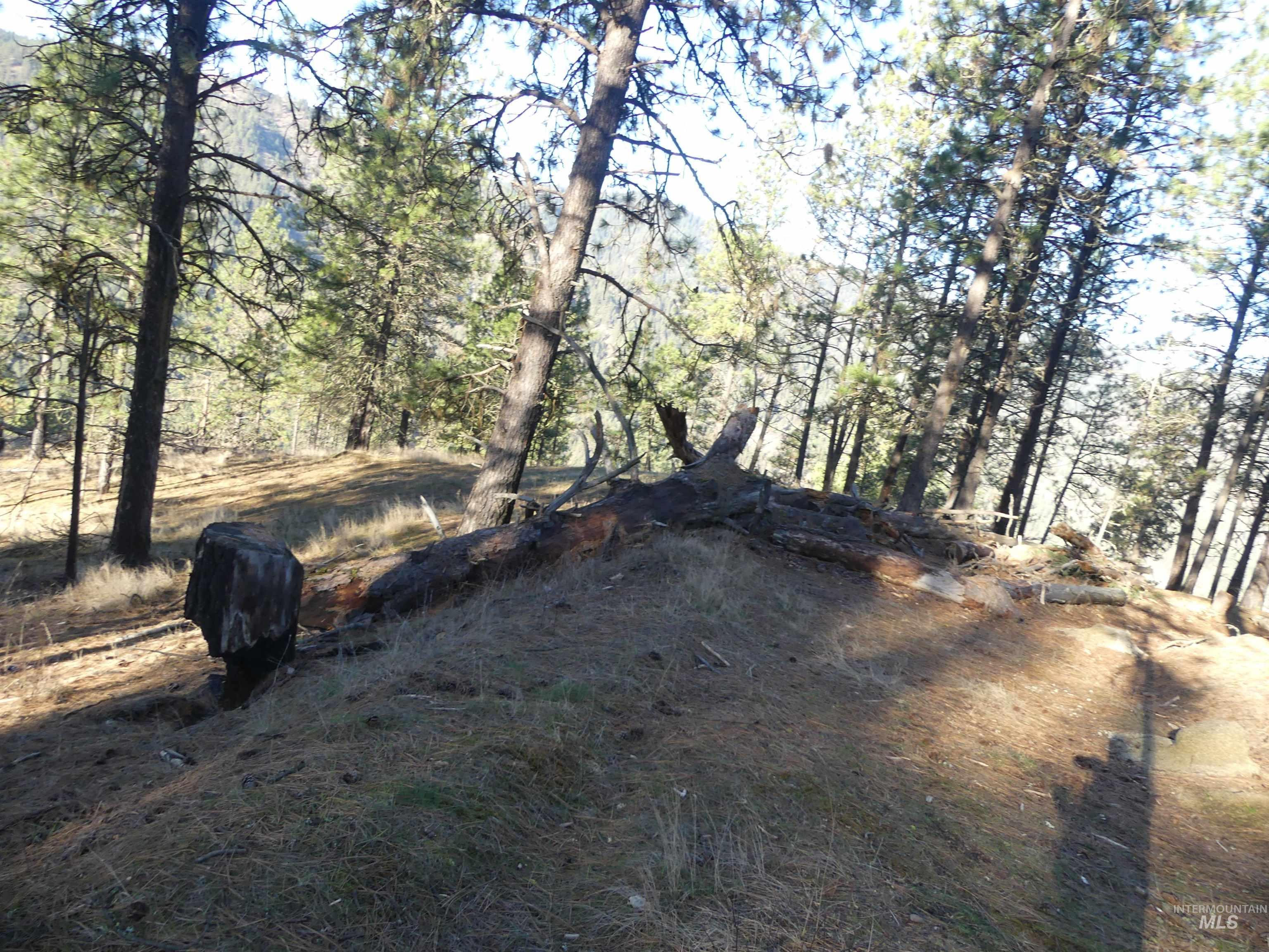1408 Carrot Ridge Road Property Photo 20
