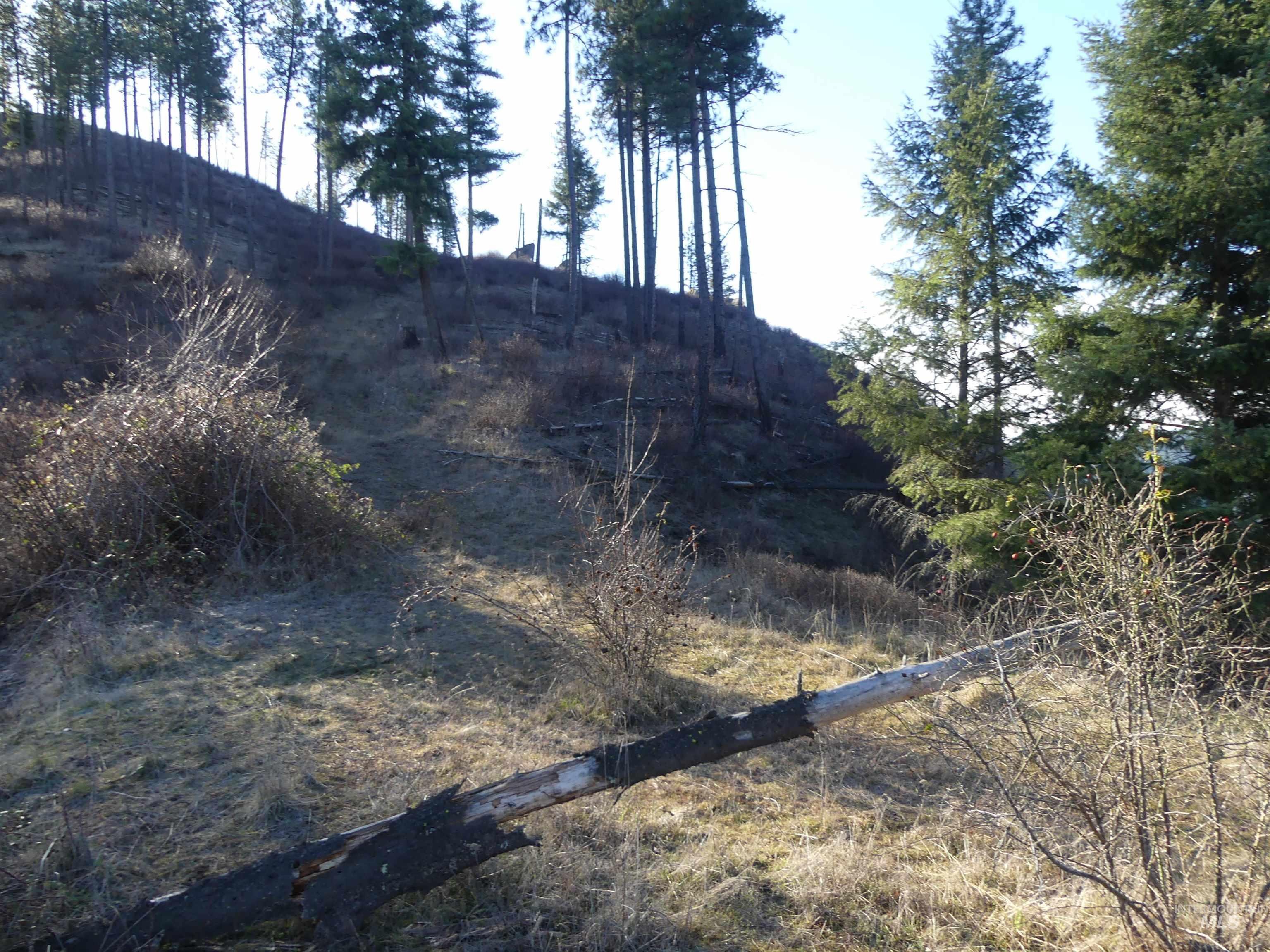 1408 Carrot Ridge Road Property Photo 21