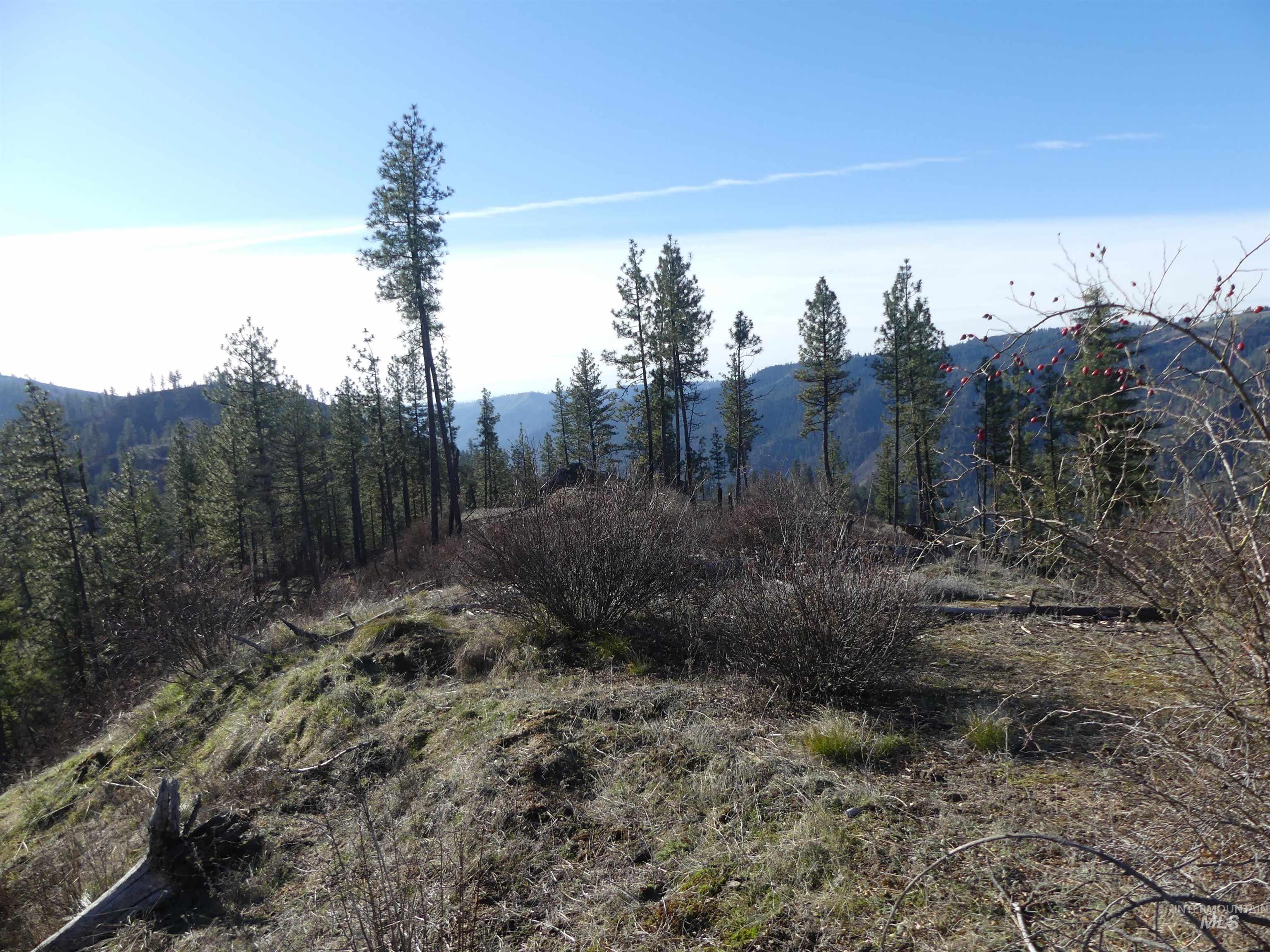 1408 Carrot Ridge Road Property Photo 23