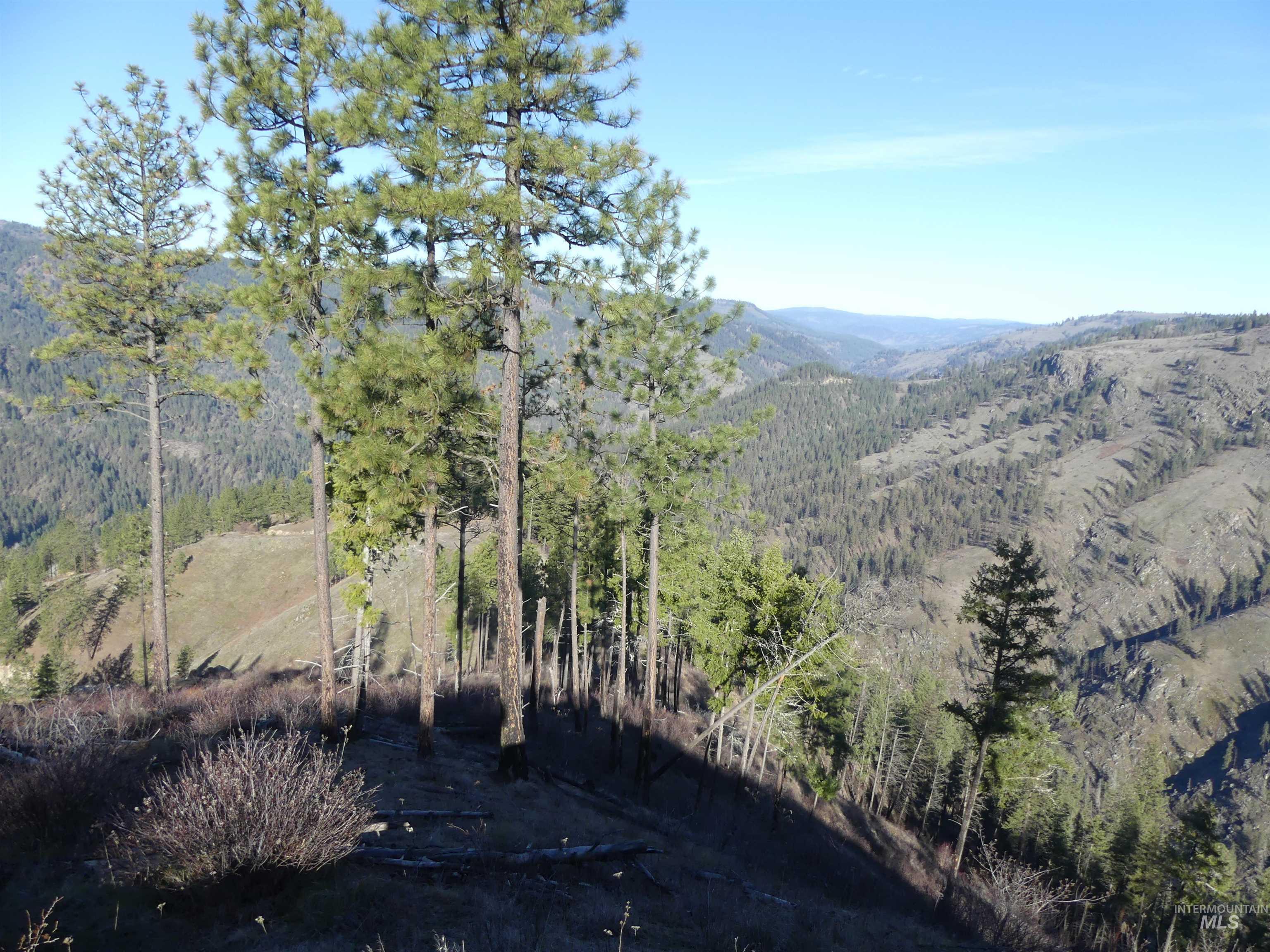 1408 Carrot Ridge Road Property Photo 24