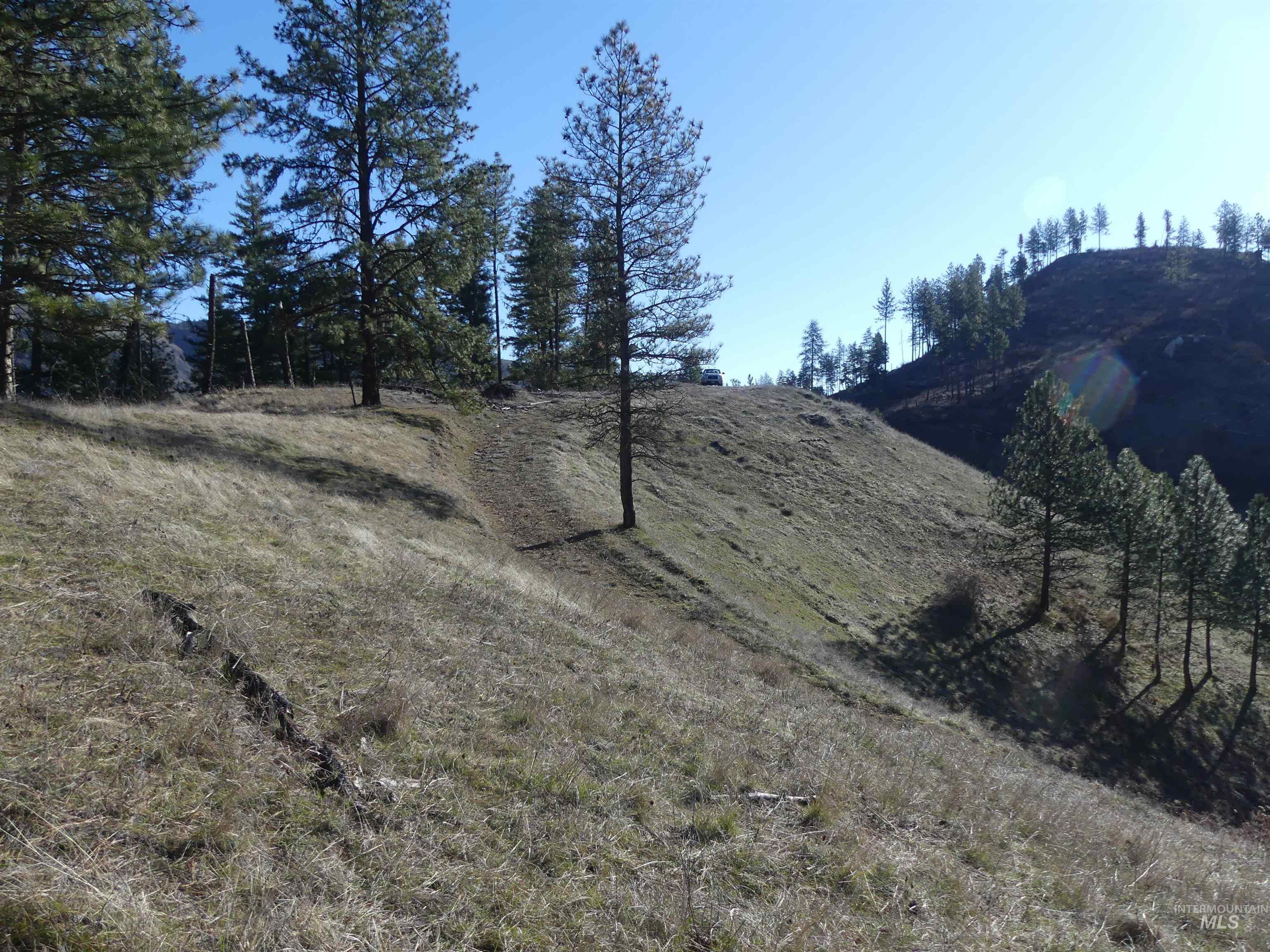 1408 Carrot Ridge Road Property Photo 25