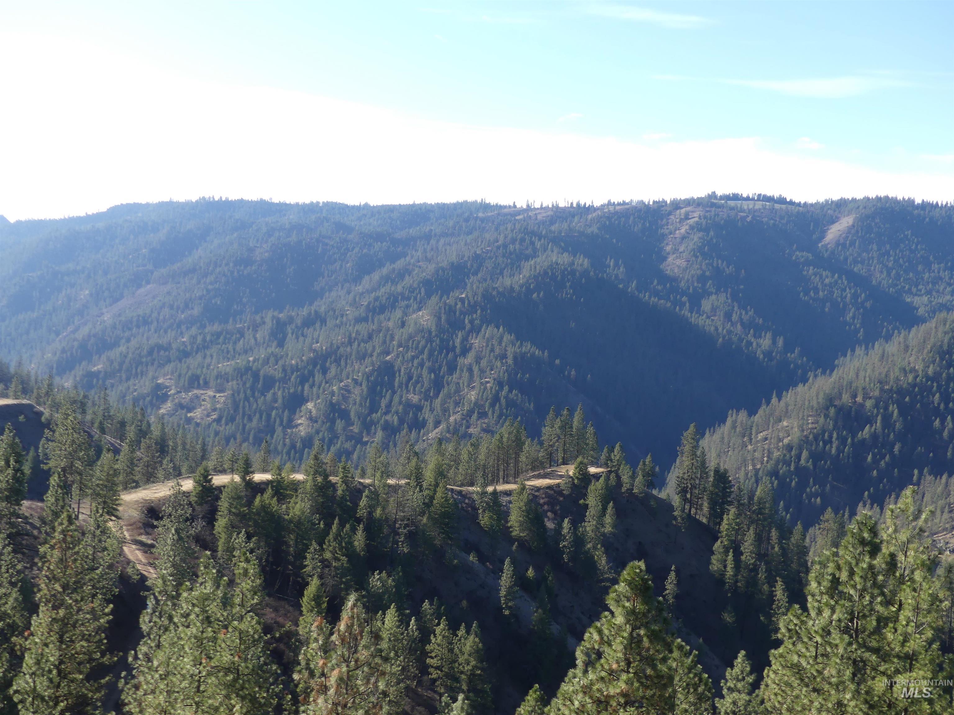 1408 Carrot Ridge Road Property Photo 29