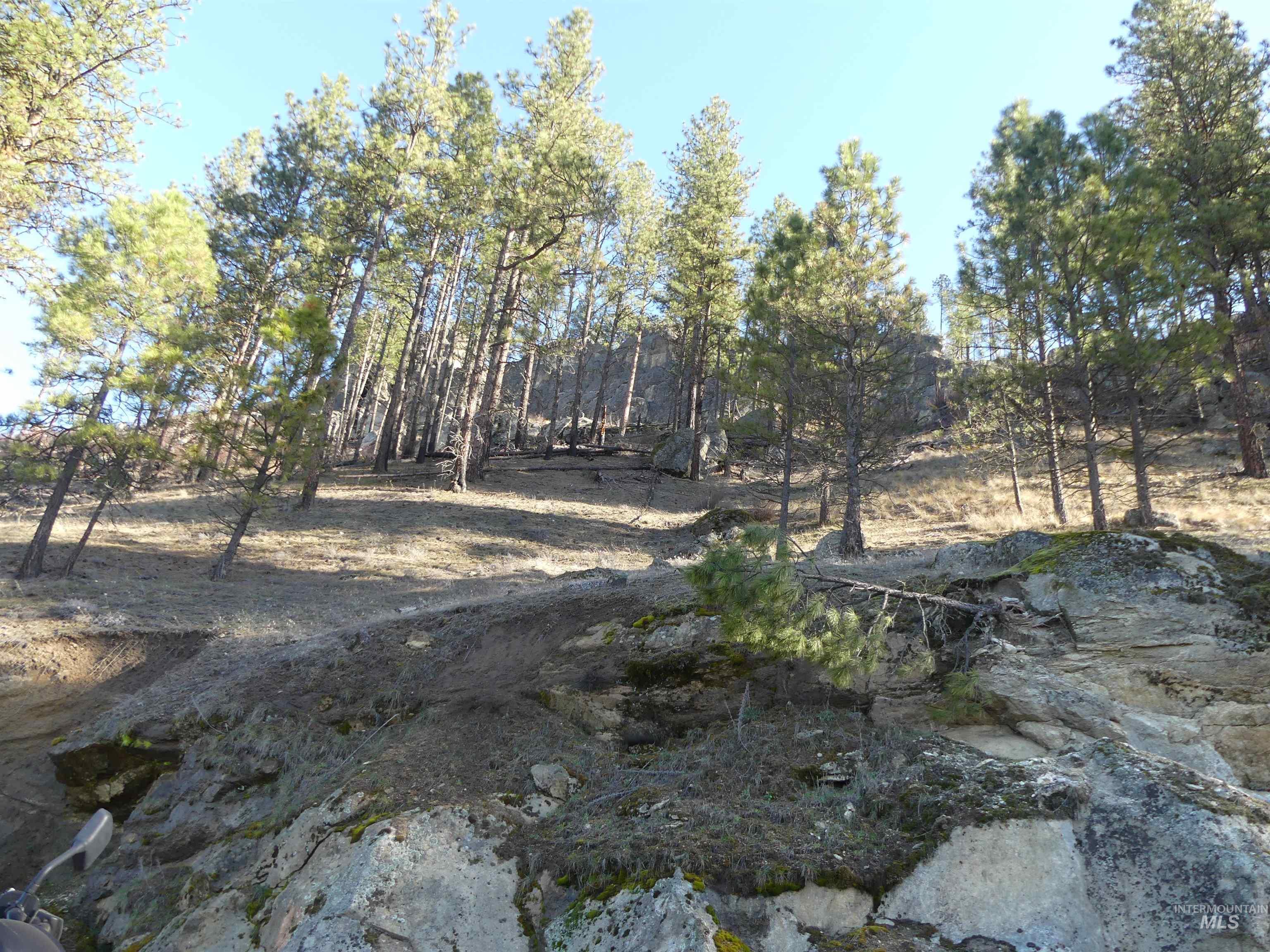 1408 Carrot Ridge Road Property Photo 37